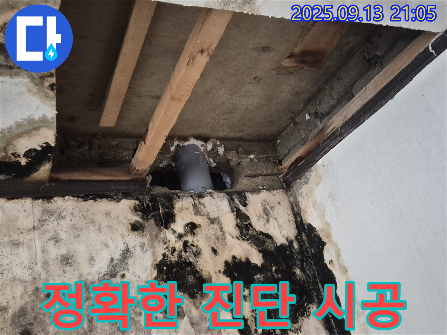 곰팡이 핀 벽, 정확한 진단과 맞춤 시공으로 해결 - 도봉구 누수