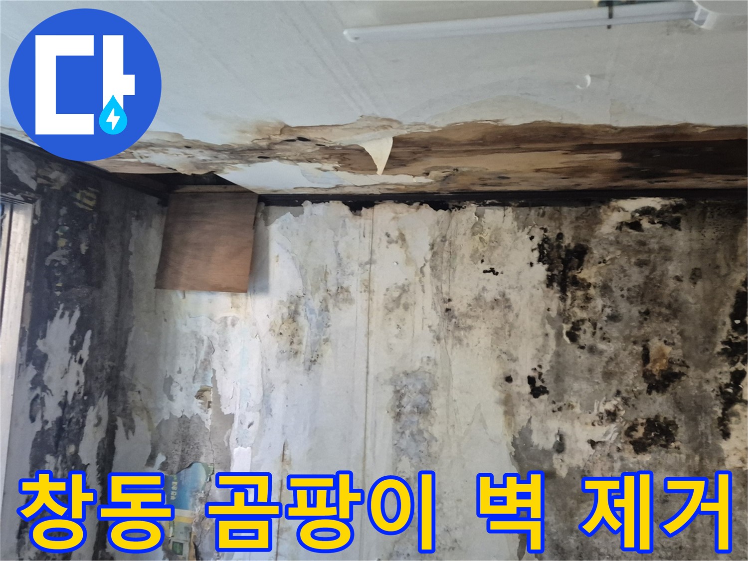 도봉구 창동 주택의 곰팡이 벽 제거 과정 - 누수 원인 진단부터 완벽한 제거 시공까지 꼼꼼한 과정을 담았습니다.