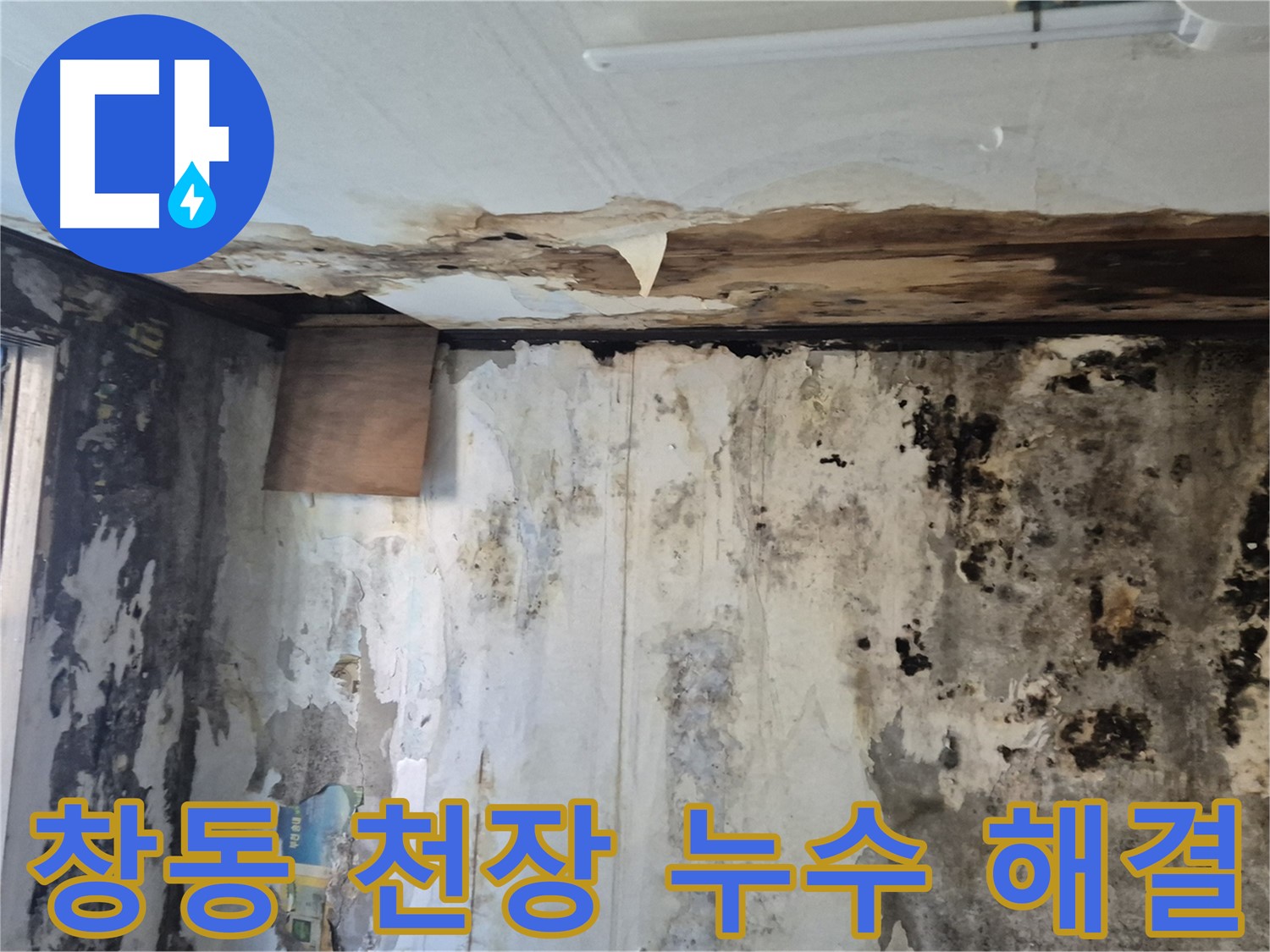 도봉구 창동 주택의 천장 누수 해결 과정 - 누수 원인 진단부터 완벽한 시공까지 꼼꼼하게 담았습니다.