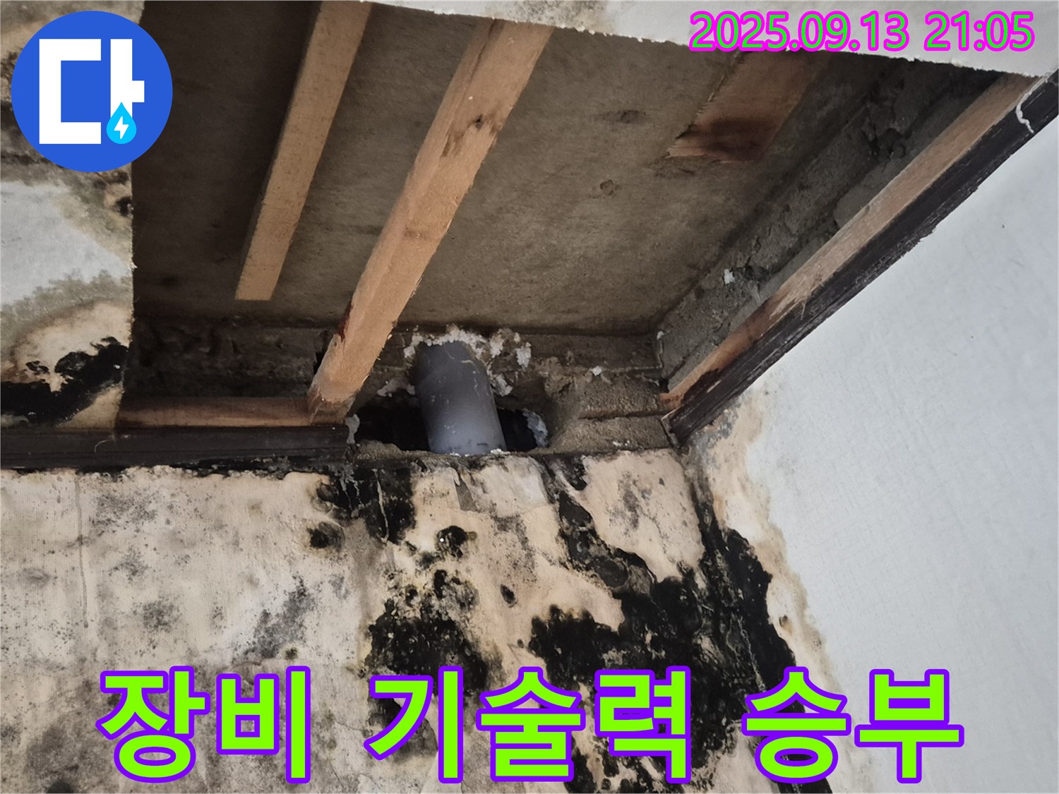 완벽한 장비와 기술력으로 곰팡이 천장 누수 해결 - 도봉구 창5동
