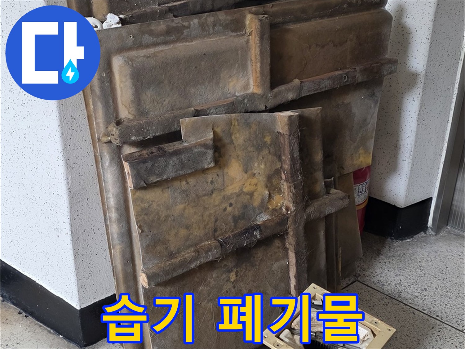 곰팡이 냄새와 습기로 가득 찬 폐기물