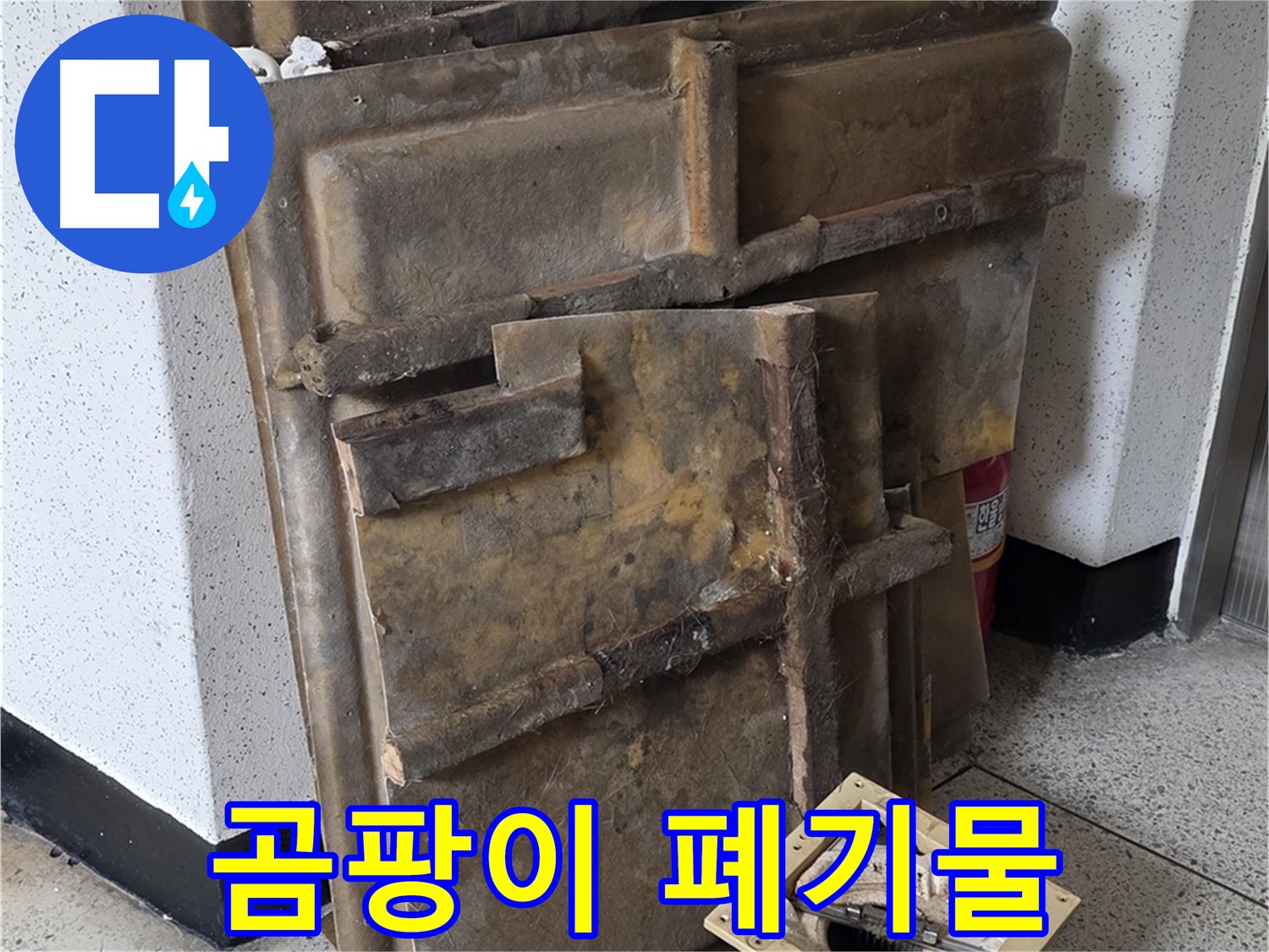 곰팡이 뒤덮인 석고보드 - 내려앉은 조명
