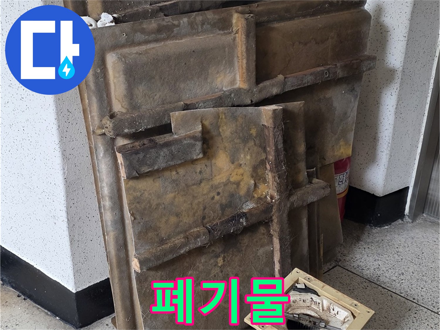 곰팡이 슨 석고보드와 조명 - 빠른 폐기만이 답