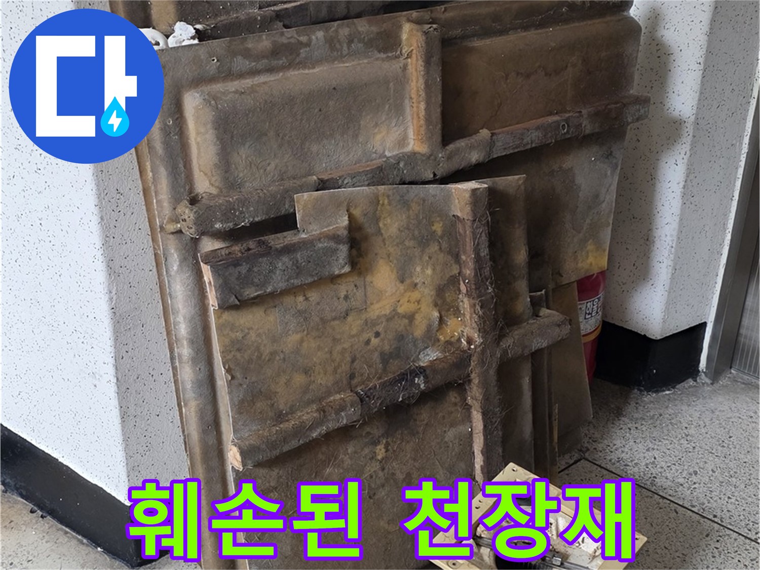 곰팡이와 누수로 훼손된 천장재와 조명 - 교체 필수