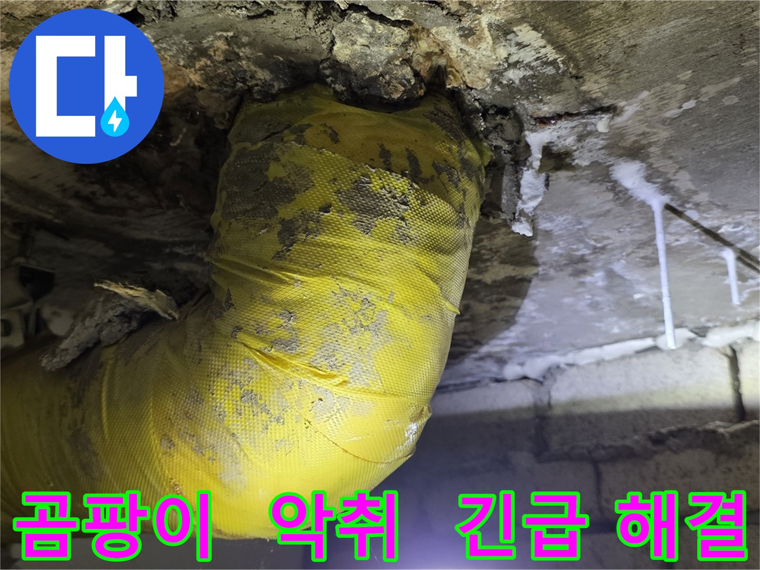 곰팡이와 악취 - 신사동 새절역현대아파트 누수 긴급 해결
