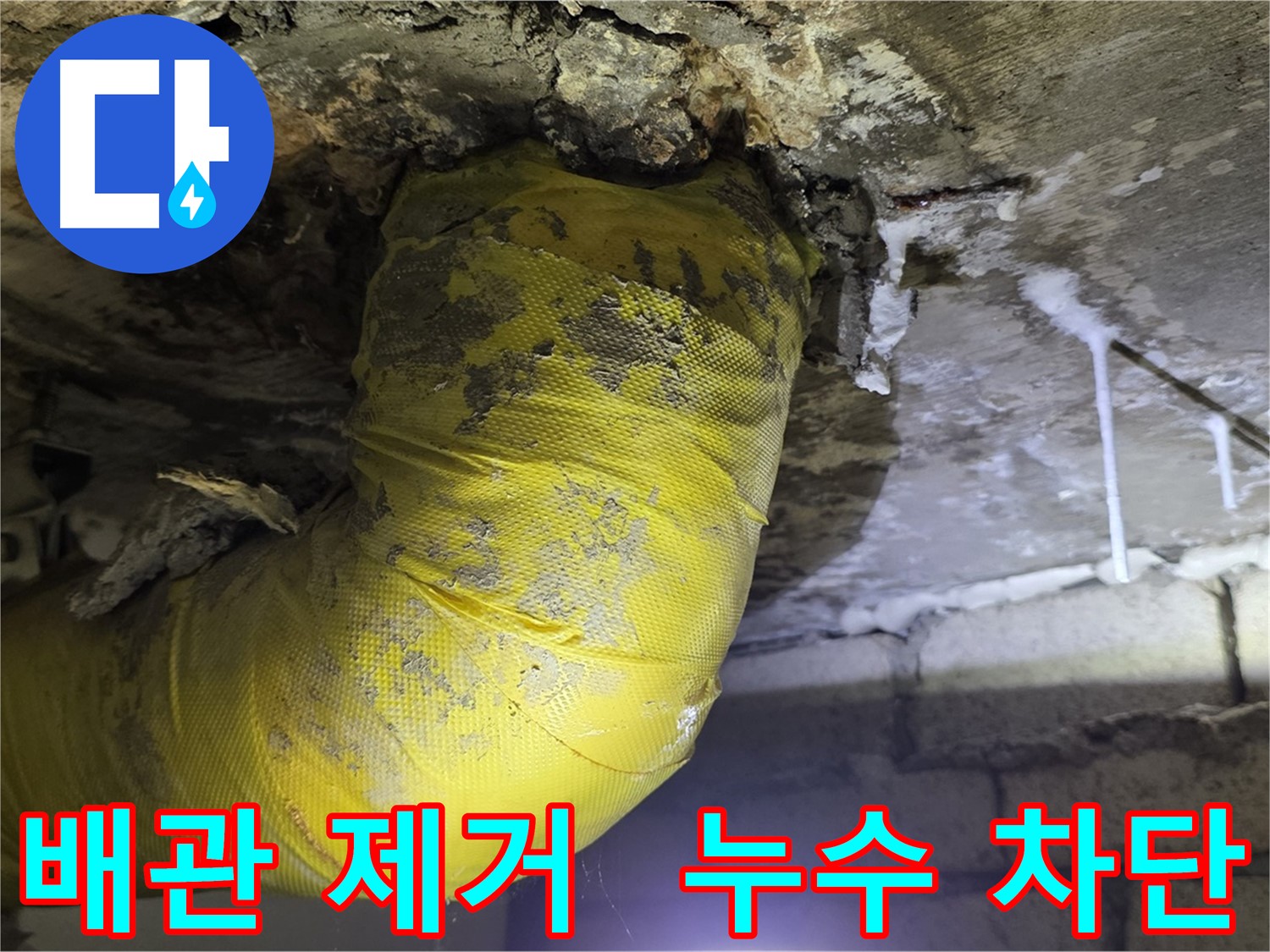누수 완벽 차단 - 서울 은평구 신사동 누수, 낡은 노란 배관 OUT, 곰팡이 완전 박멸