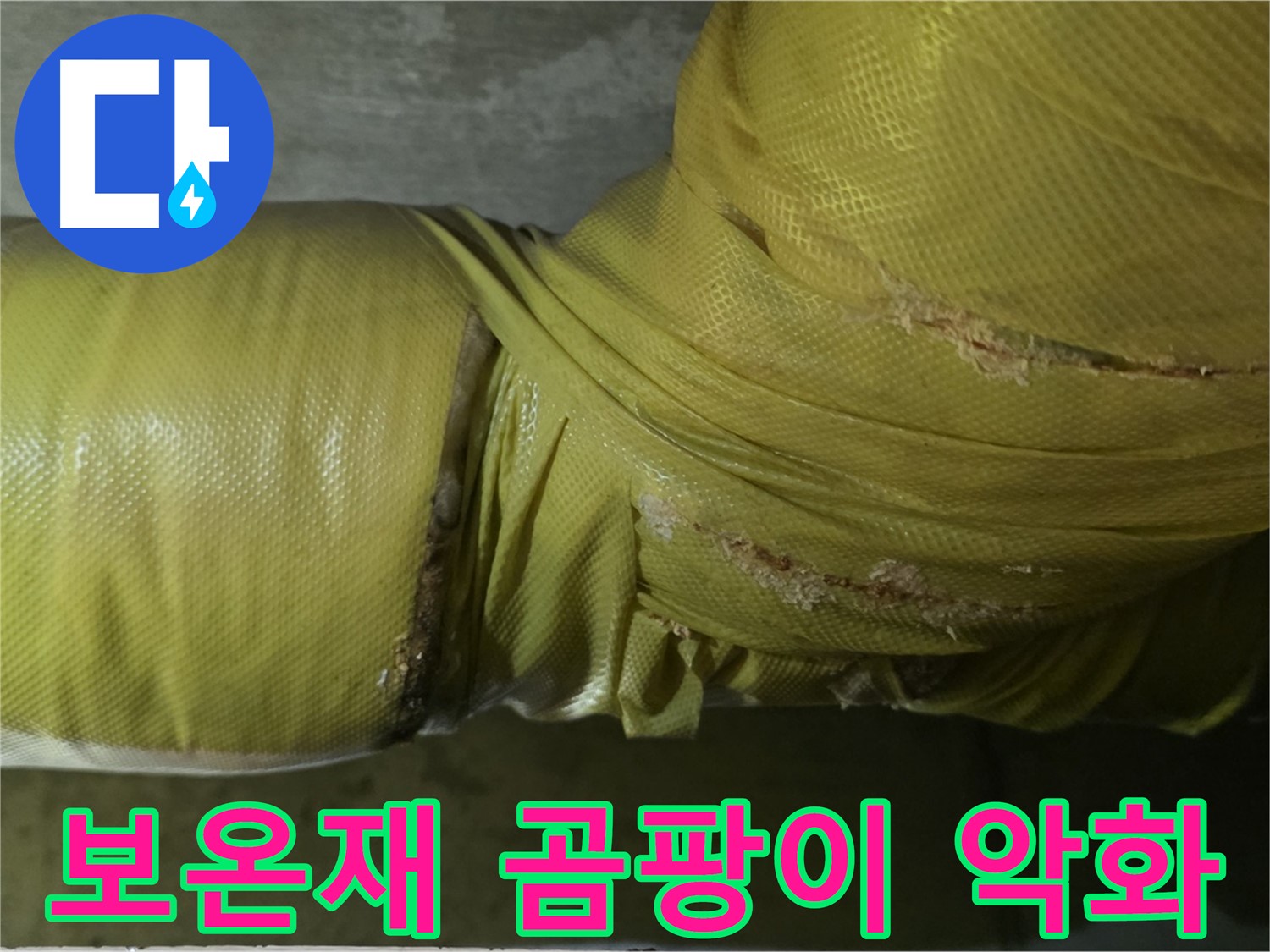 보온재 속 곰팡이 - 심각한 실내 공기 질 악화, 건강 문제 유발, 전문적인 케어가 시급합니다.