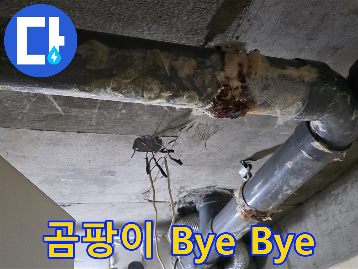 새절역 누수 - 오수 배관 부식과 곰팡이 냄새 제거 - 쾌적한 환경