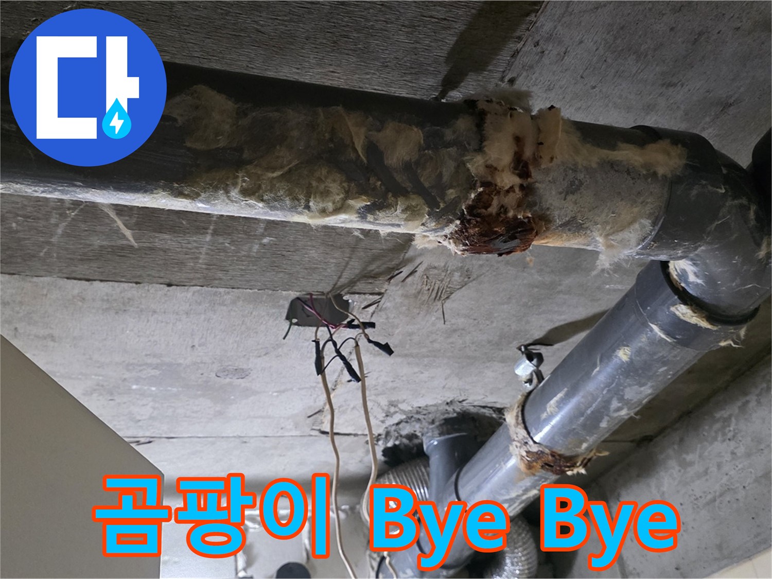 새절역 누수 - 오수 배관 부식과 곰팡이 냄새 제거 - 쾌적한 환경