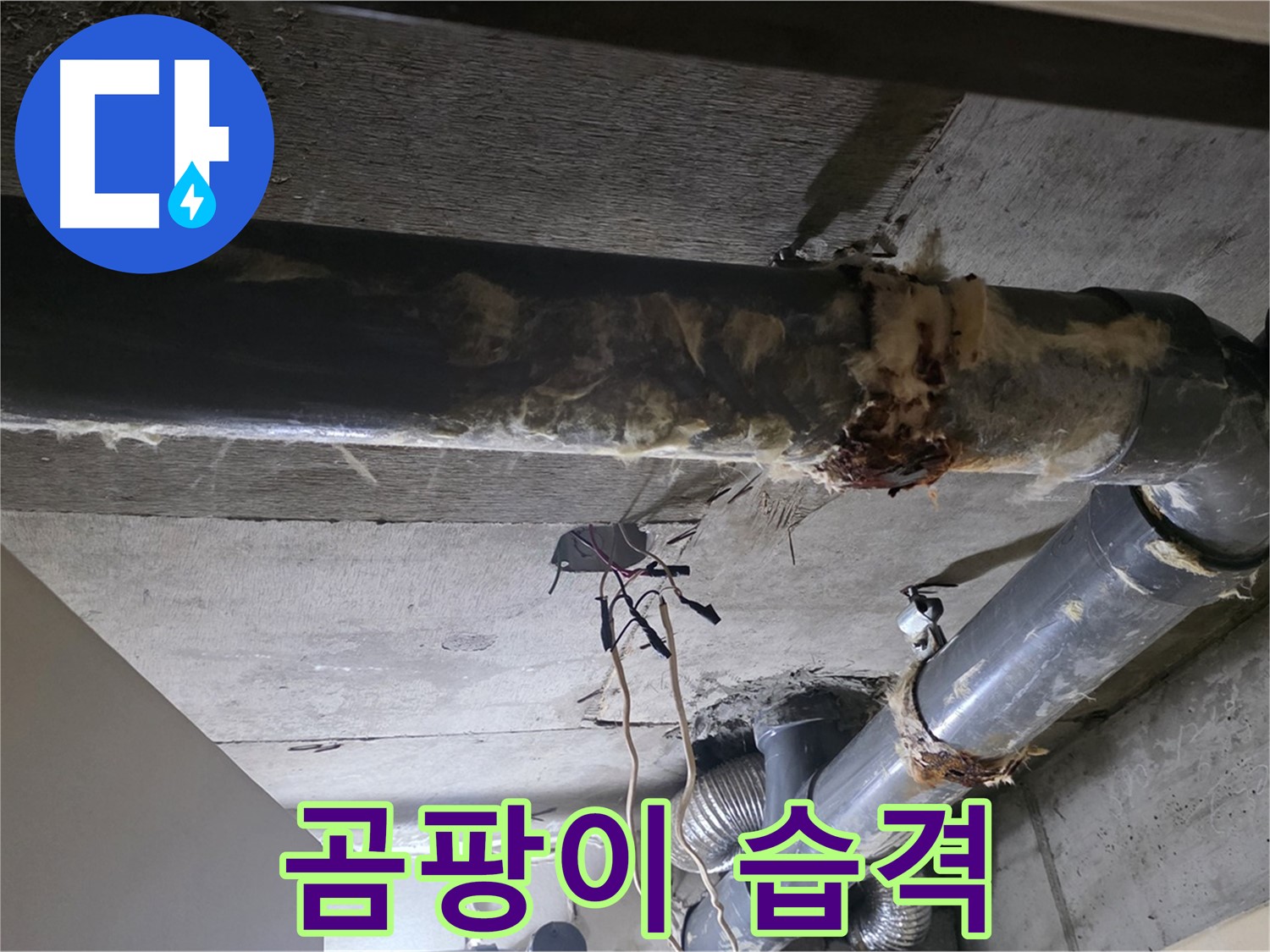 새절역 현대아파트 - 낡은 배관과 곰팡이의 습격, 누수 위험을 경고합니다