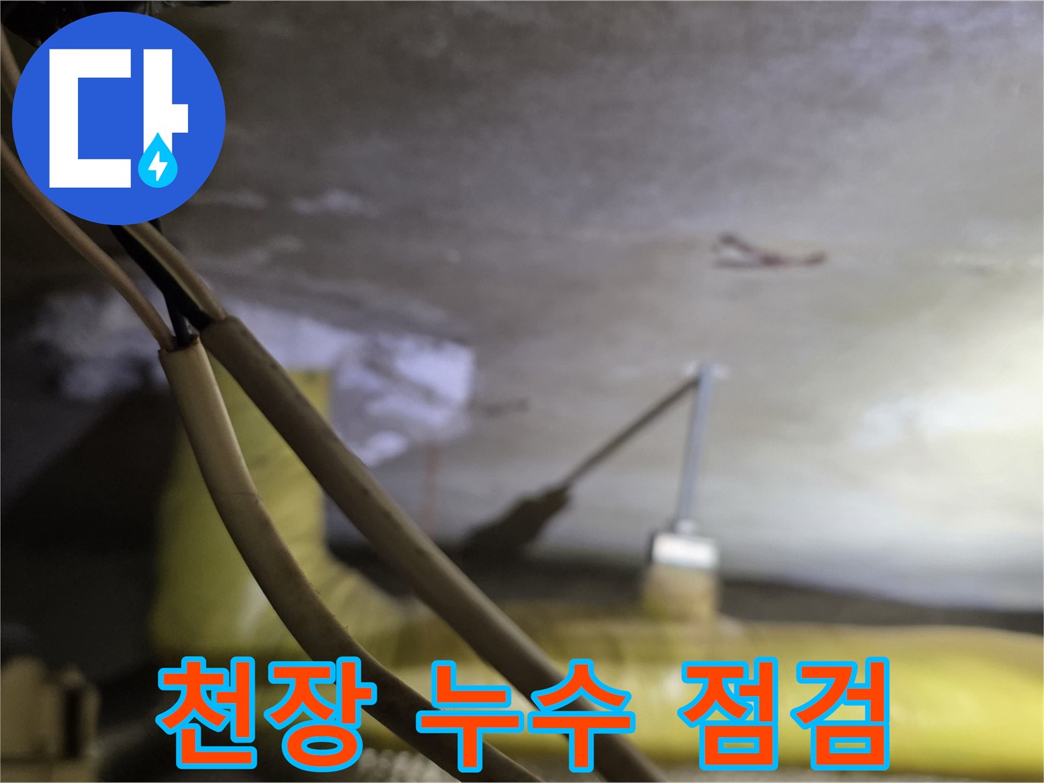새절역 현대아파트 천장 누수 - 천장 상태를 꼼꼼하게 점검하는 모습