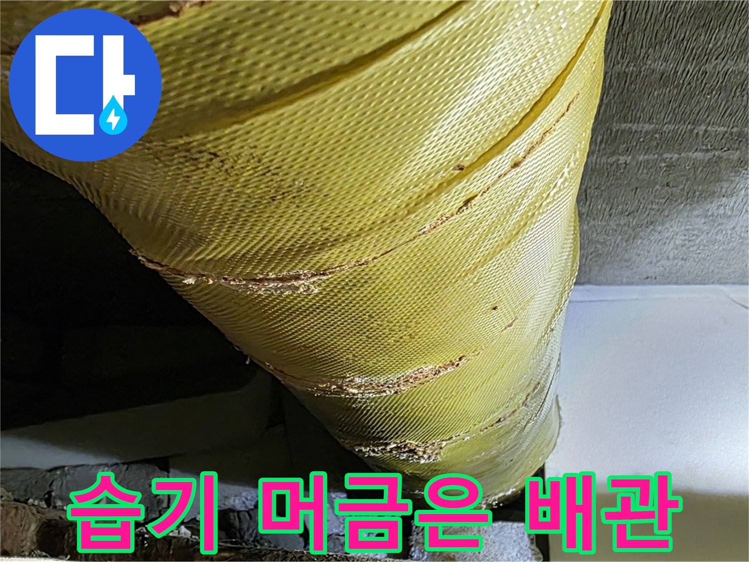 습기 머금은 배관 - 낡은 마감재 - 곰팡이 위험 증가