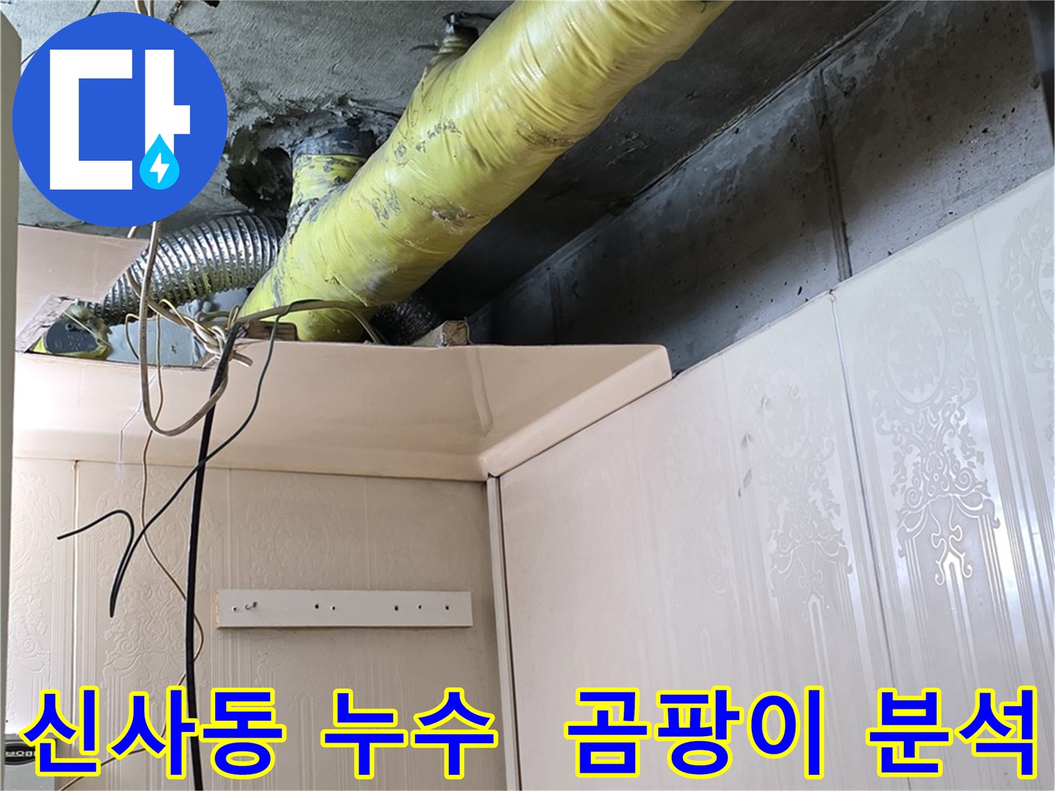 신사동 누수 - 배관 주변의 습기 및 곰팡이 발생 원인 심층 분석
