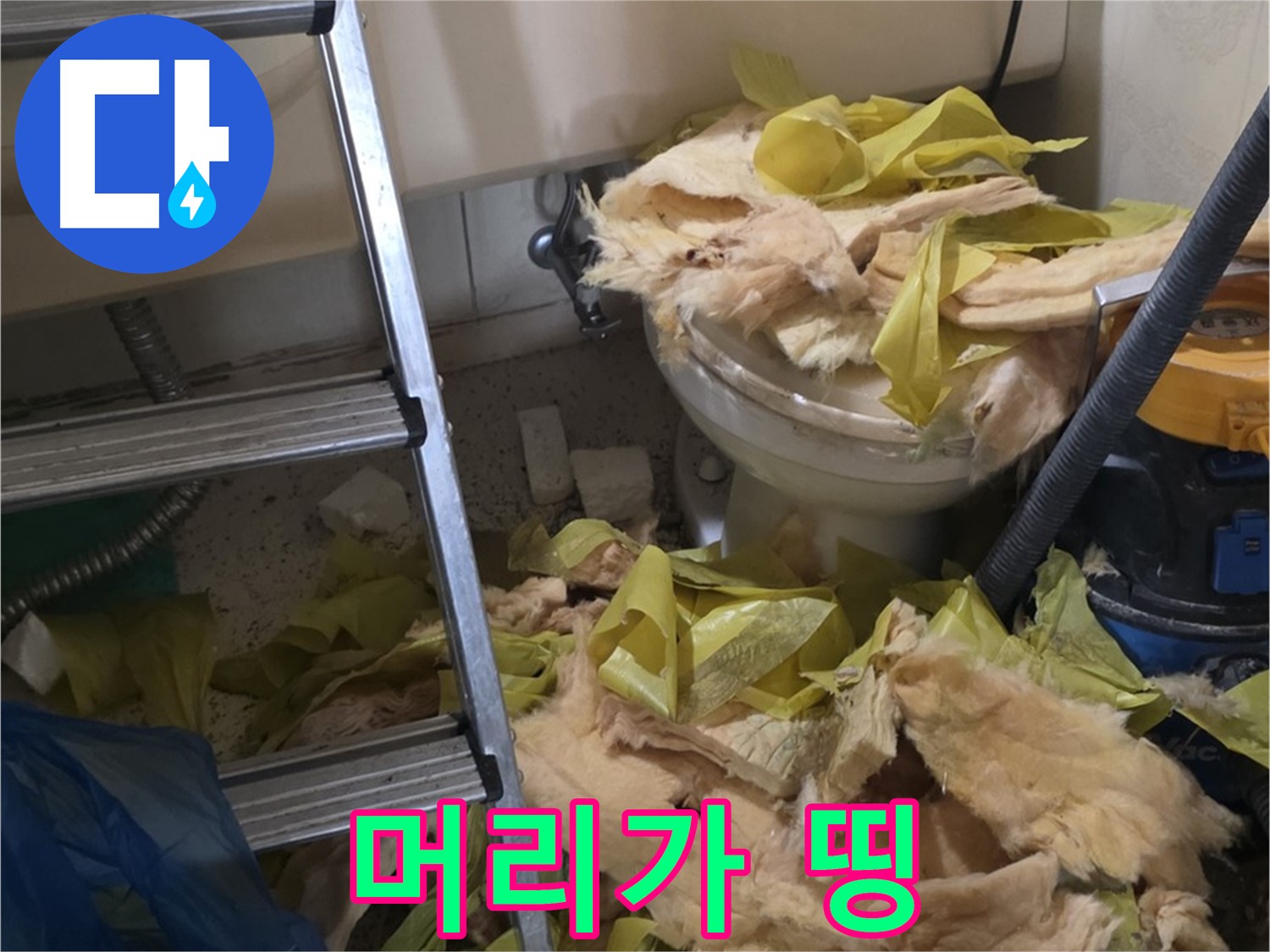 신사동 누수 현장 - 곰팡이 냄새 진동, 두통 유발 - 건강 위협