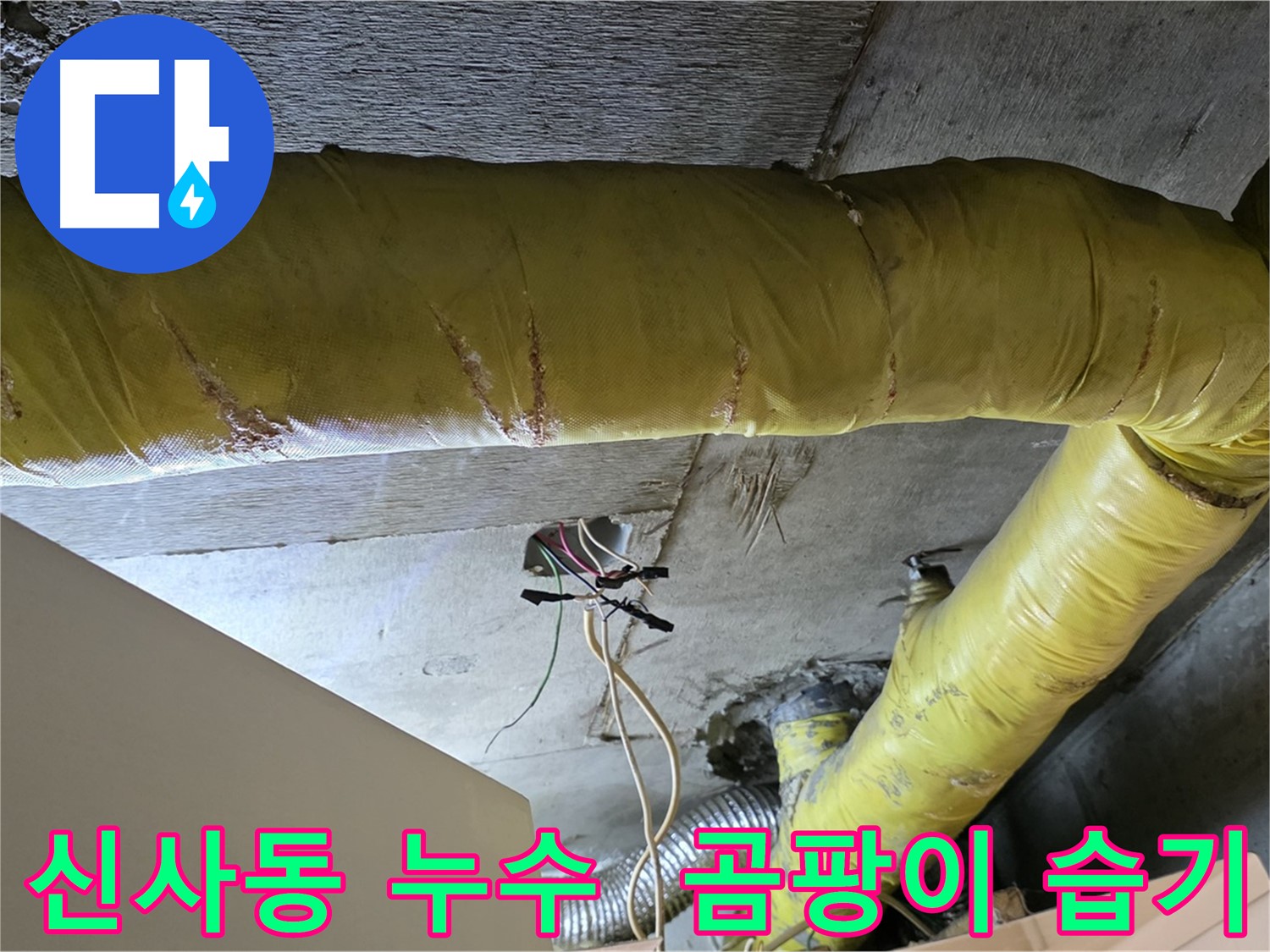 신사동 누수 - 환풍기 배관 주변 곰팡이와 습기 - 누수 의심