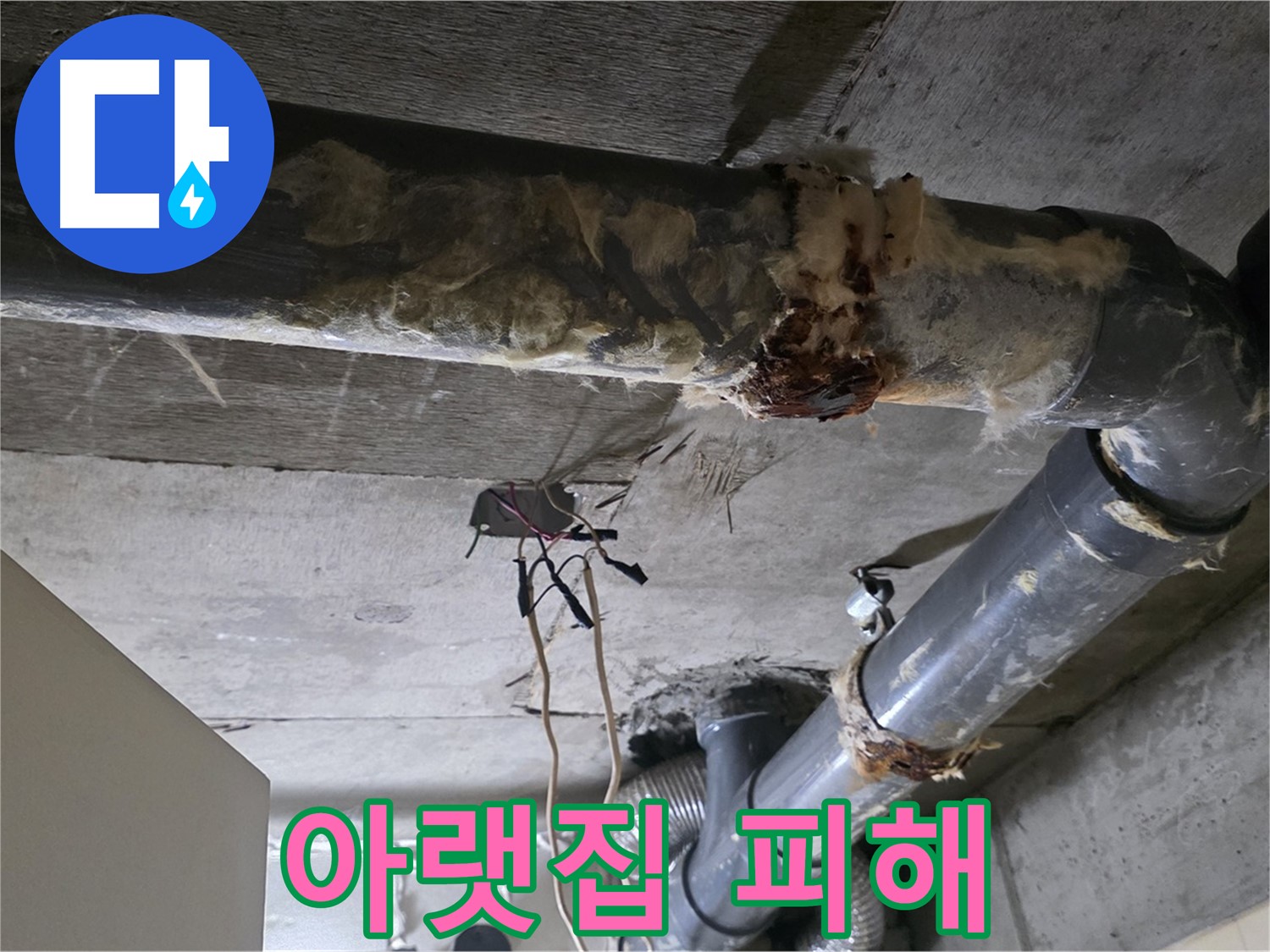 신사동 새절역현대아파트 누수 - 오수 배관 파손 긴급 수리 - 아랫집 피해 방지
