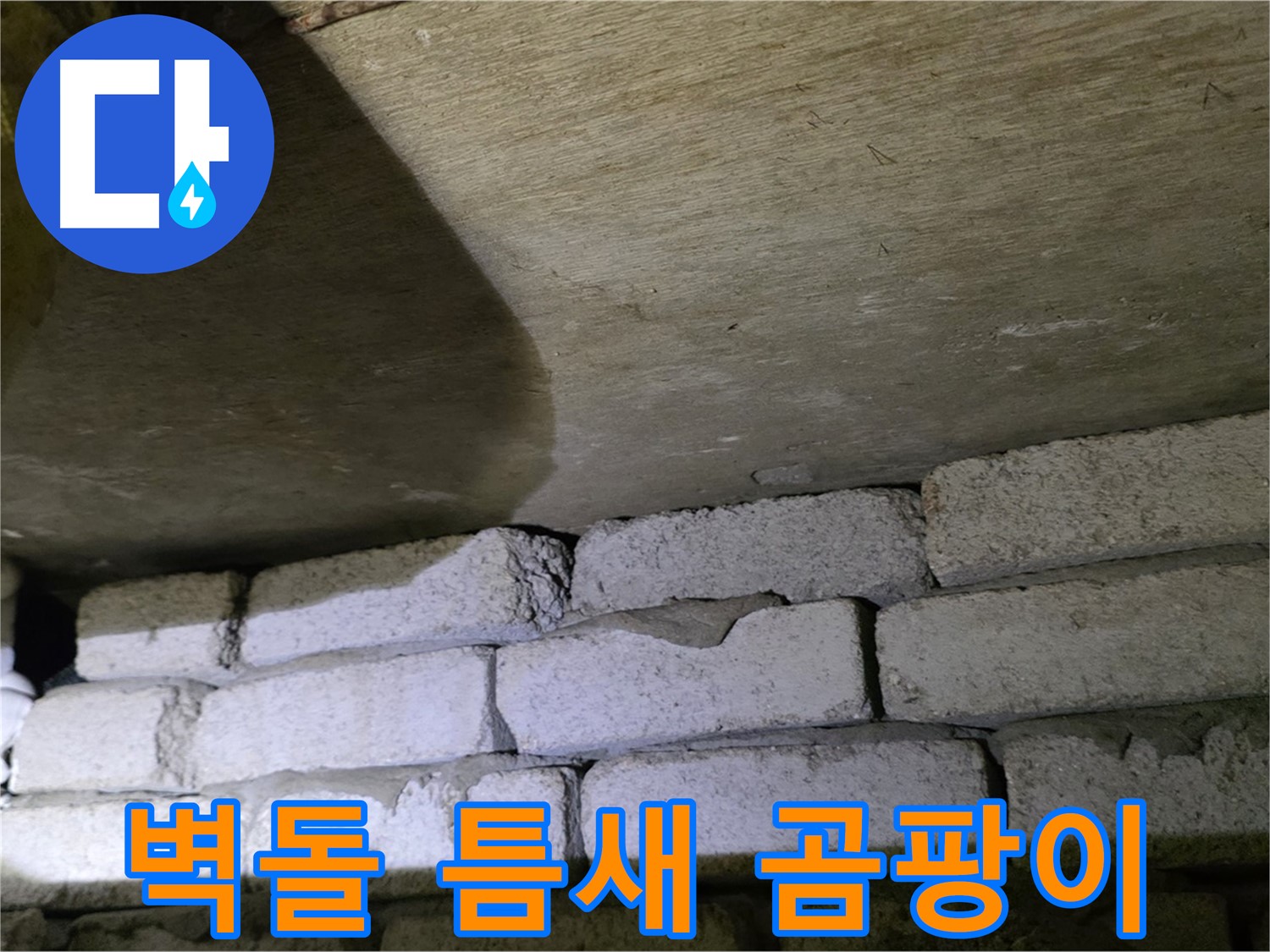 신사동 주택 누수 - 벽돌 벽 상단 틈새 주변 곰팡이와 습기 발견