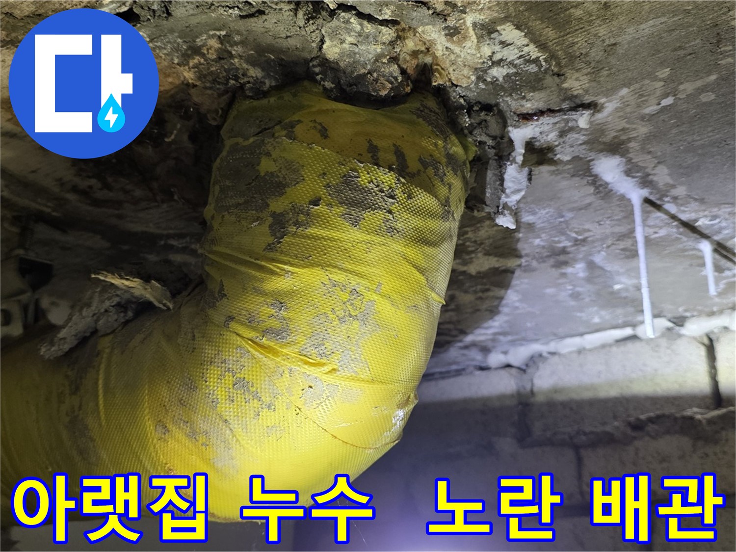 아랫집 천장으로 폭포수 - 새절역 현대아파트 누수 24시 긴급 복구, 노란 배관의 마지막 비명
