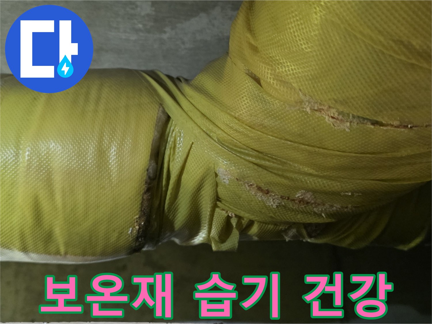 보온재 속 습기 - 건강 악화, 곰팡이, 알레르기 유발