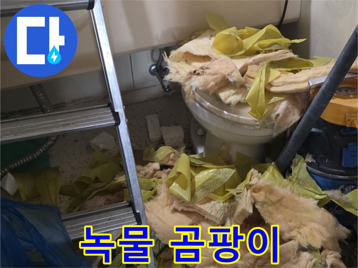 은평구 누수 현장 - 녹물과 곰팡이로 오염된 배관 - 수질 오염 비상