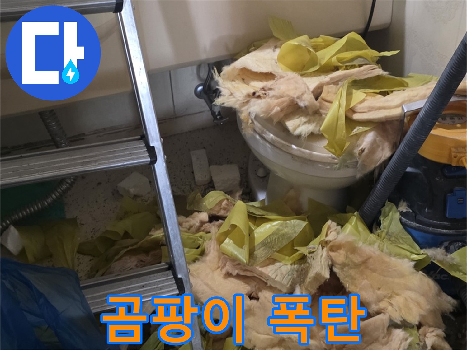 은평구 신사동 누수 - 곰팡이로 오염된 보온재 - 건강 위협