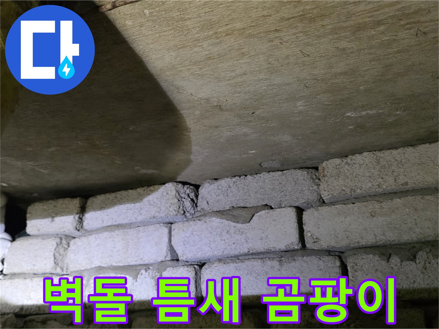 은평구 신사동 누수 - 새절역현대아파트 벽돌 틈새 주변 습기 및 곰팡이 발생
