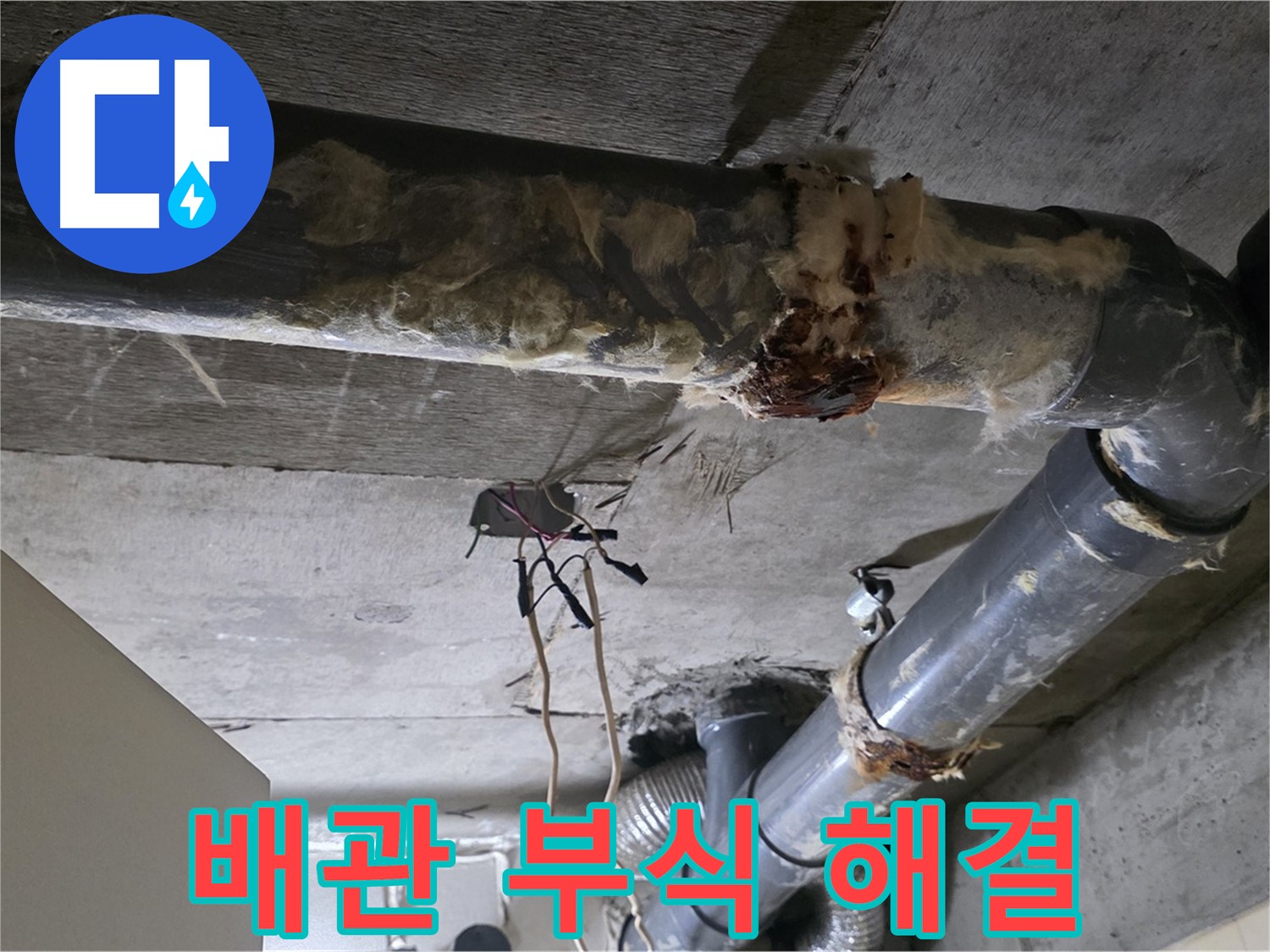 은평구 신사동 누수 - 오수 배관 부식 긴급 해결 위해 모든 역량 집중