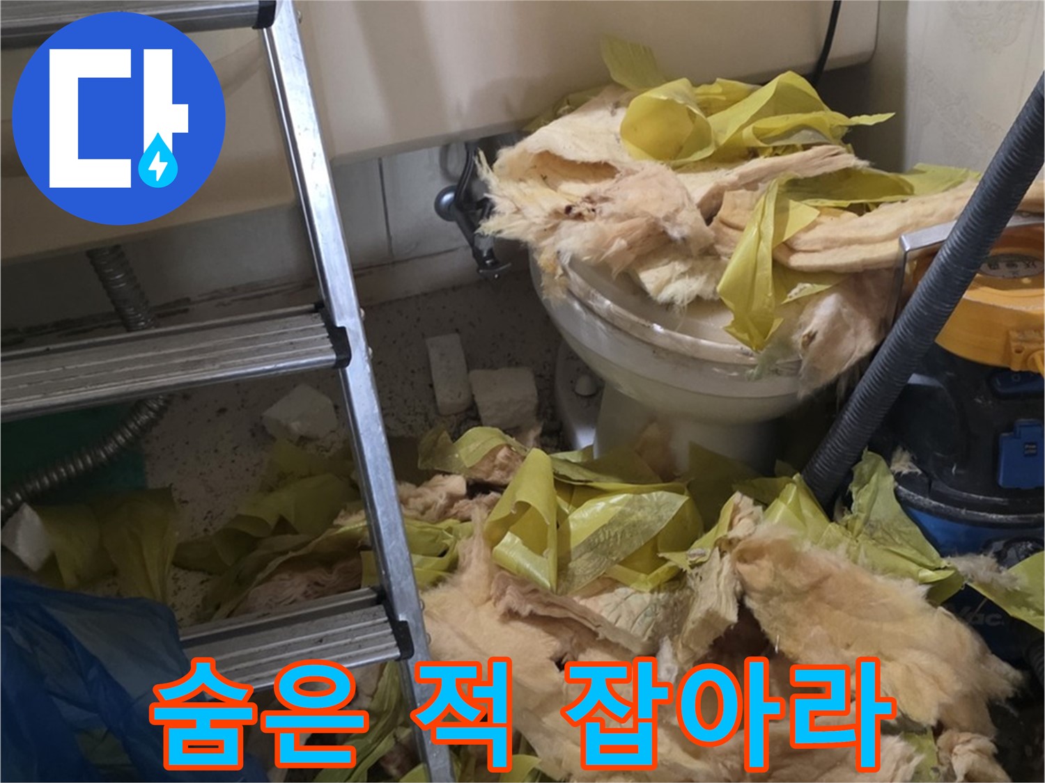 은평구 신사동 누수 현장 - 보온재 속 숨은 곰팡이 제거 작전