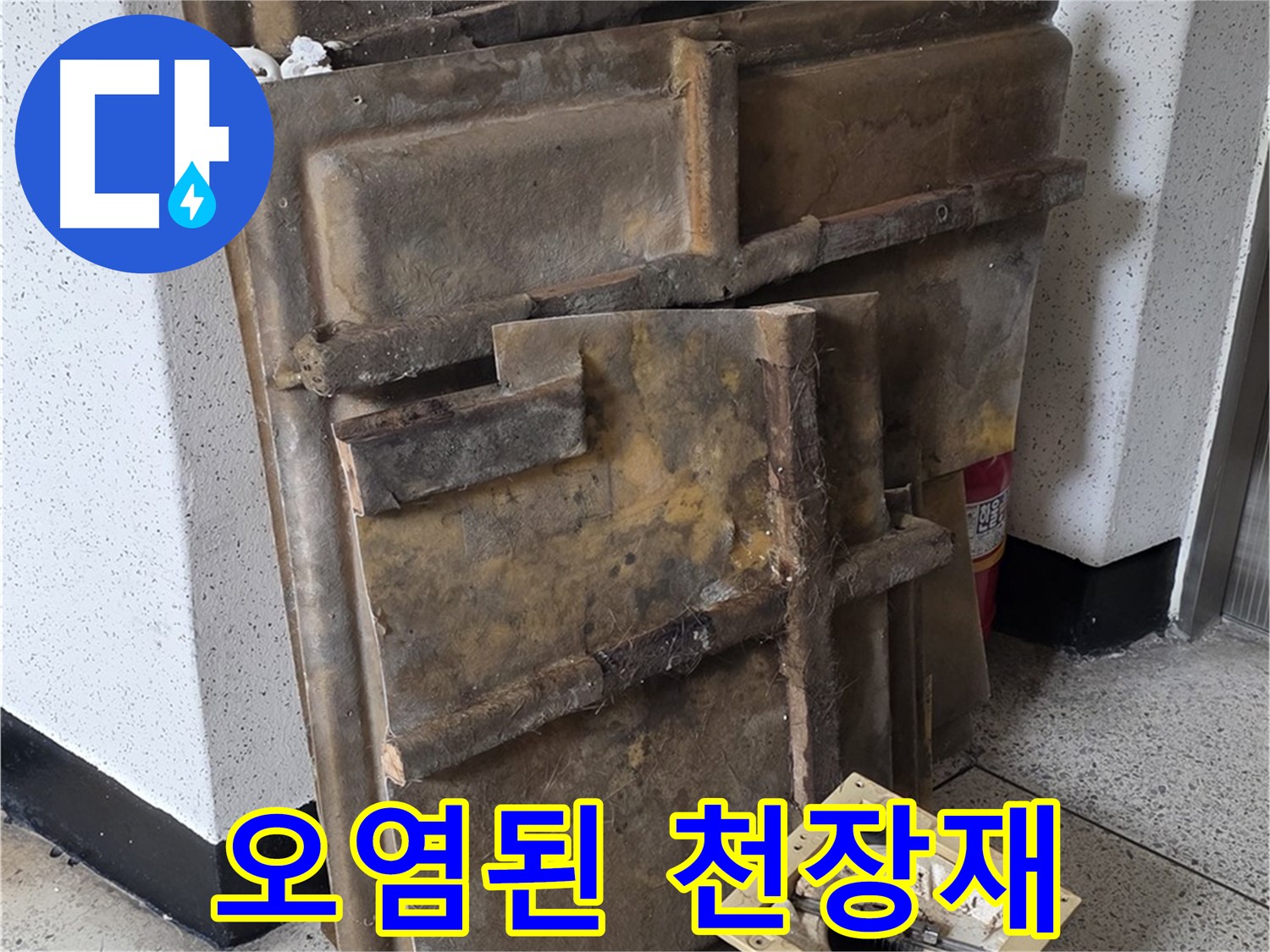 찌든 때와 얼룩으로 가득한 천장재와 조명