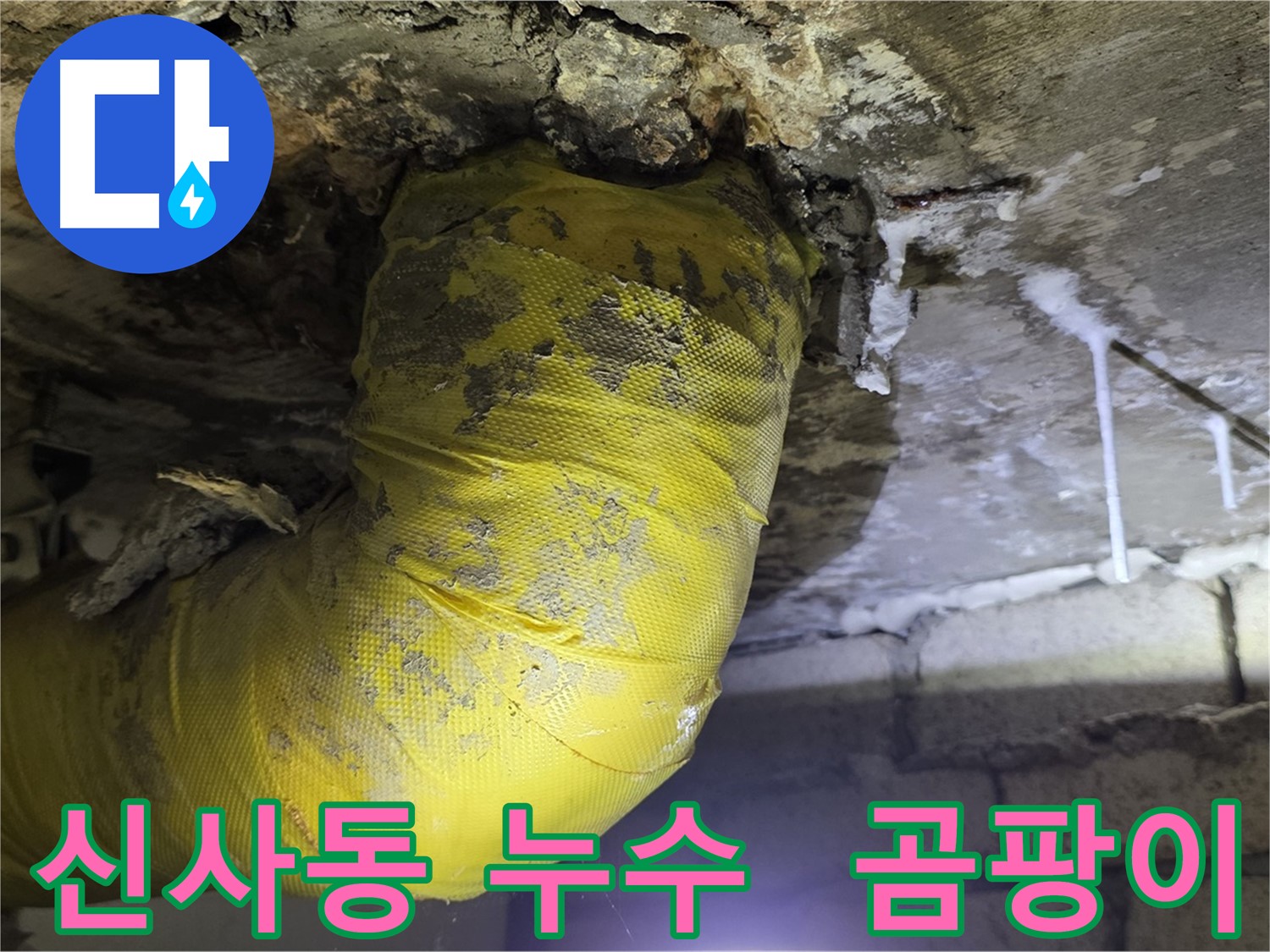 천장 누수와 곰팡이 - 신사동 아파트 긴급 점검
