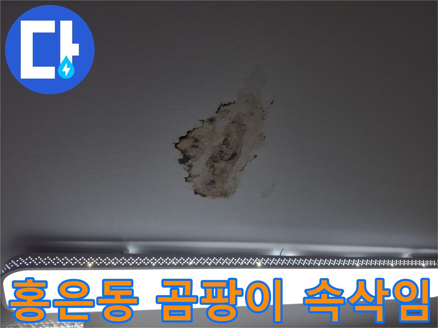 곰팡이 천장 - 괴로운 속삭임입니다