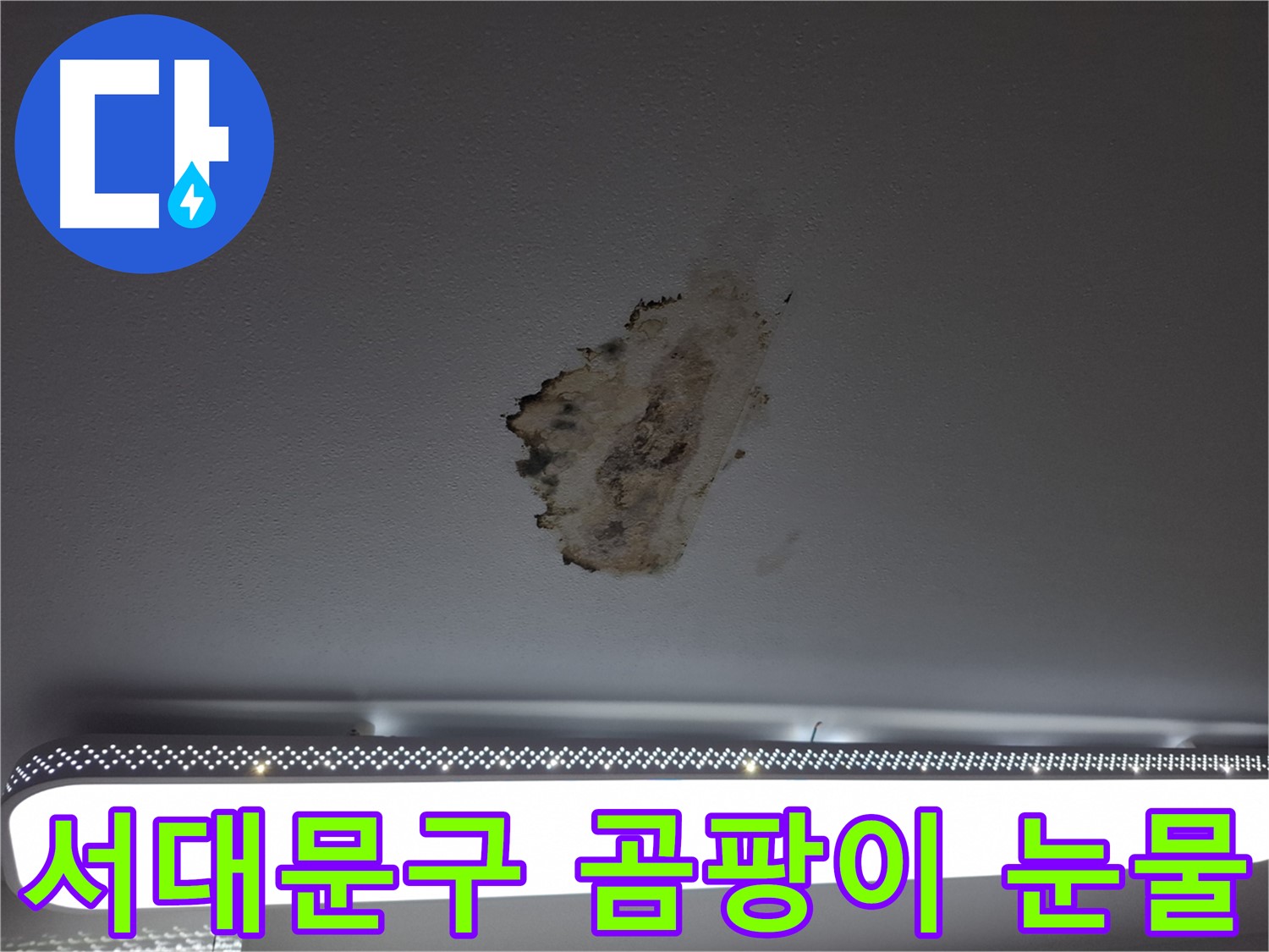 곰팡이 핀 천장 - 누수 원인 파악과 해결의 시급성