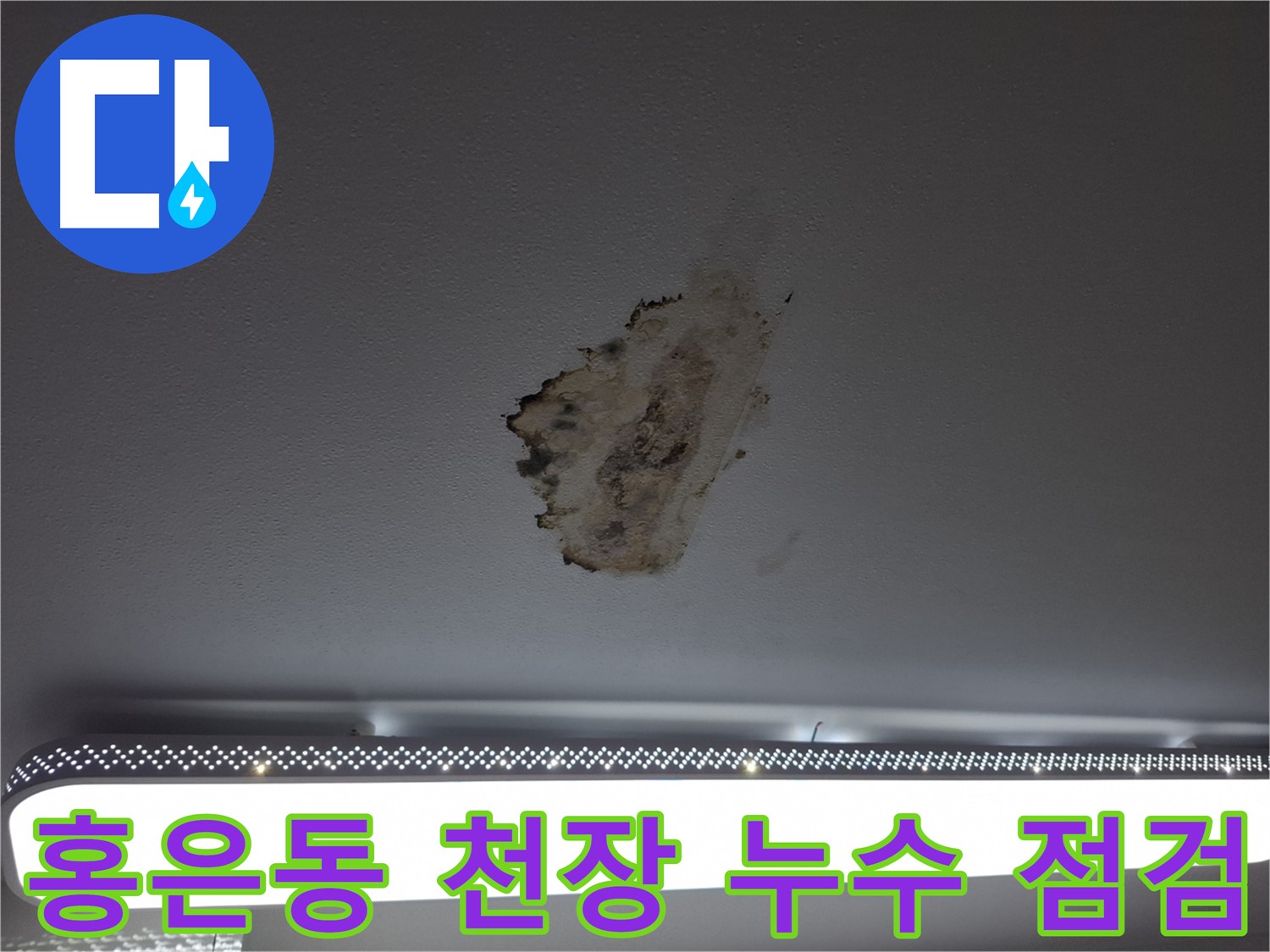 젖은 천장과 곰팡이 - 장기간 누수로 인한 건물 손상