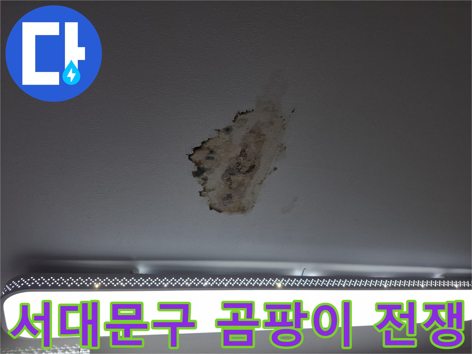 천장 누수와 곰팡이 - 곰팡이와의 전쟁 선포