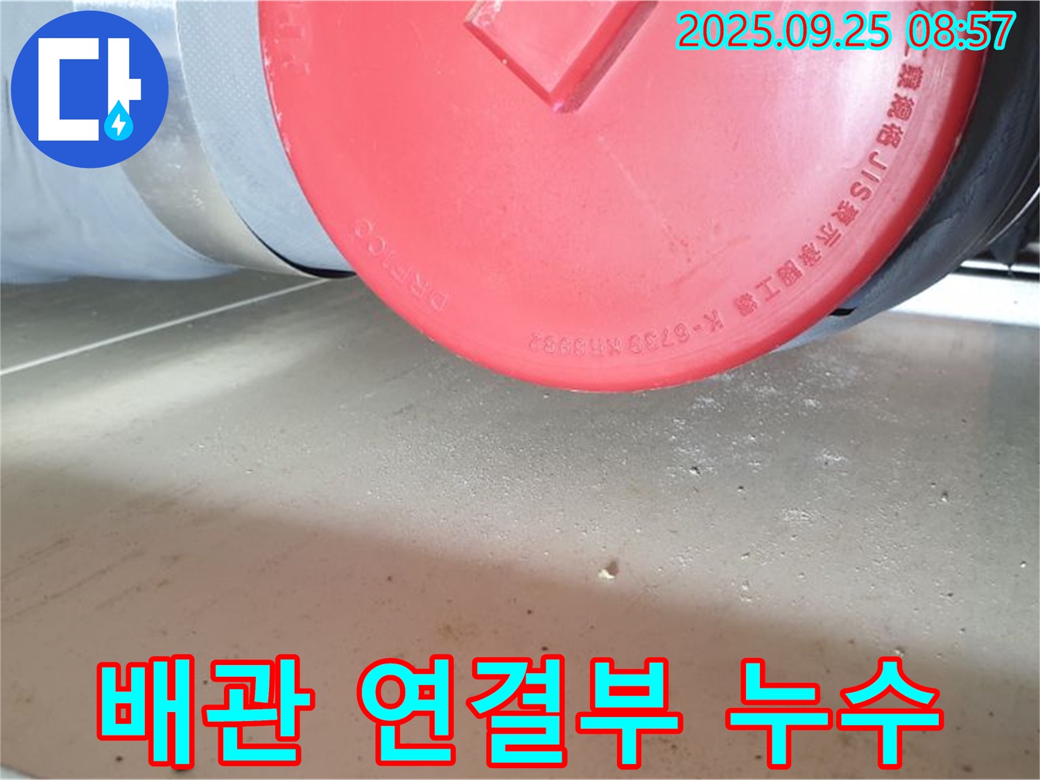 양주시 광적면 가납리 누수 현장 - 배관 연결부에서 발생한 누수를 꼼꼼하게 점검하고 있습니다.