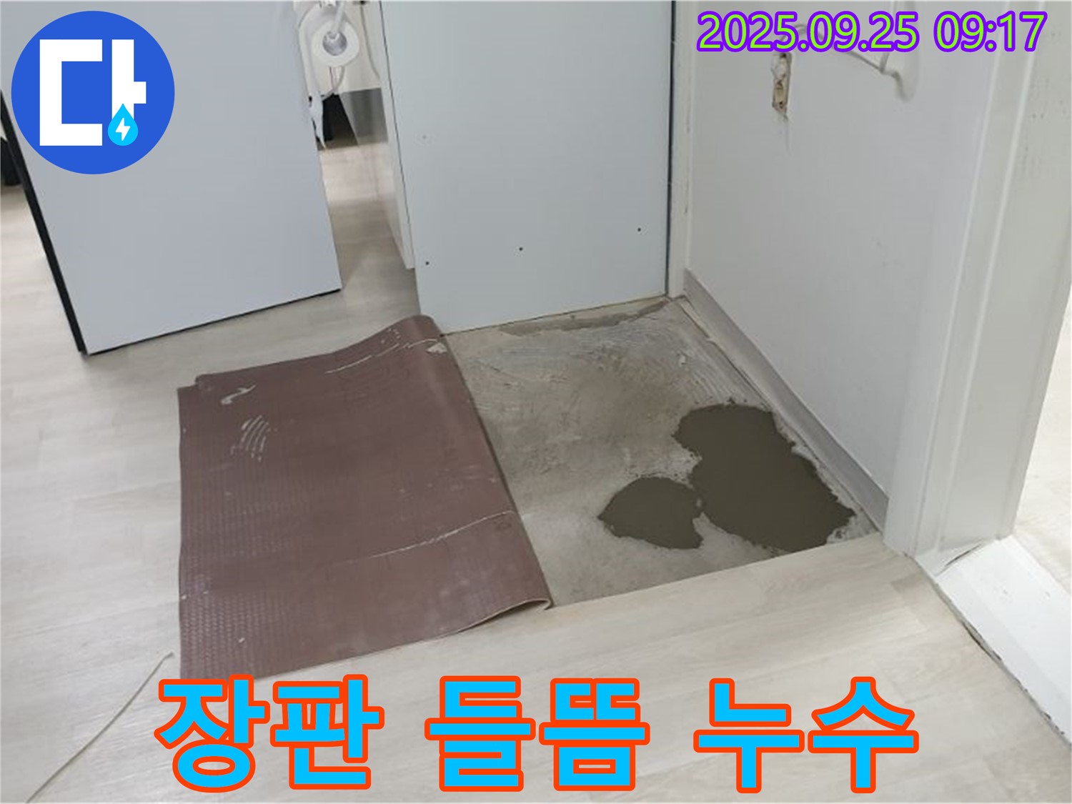 양주시 백석읍 연곡리 누수 - 장판 들뜸의 원인, 누수 해결