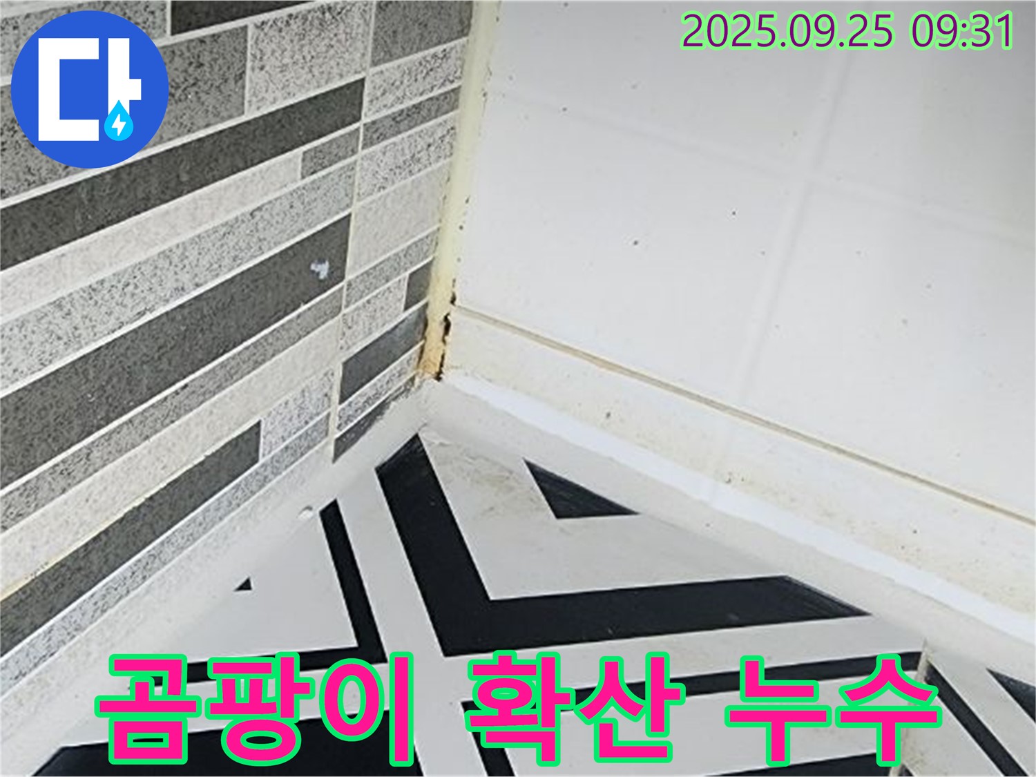 양주시 백석 - 곰팡이가 욕실에서 집 전체로 확산되는 모습 - 곰팡이 확산의 위험성