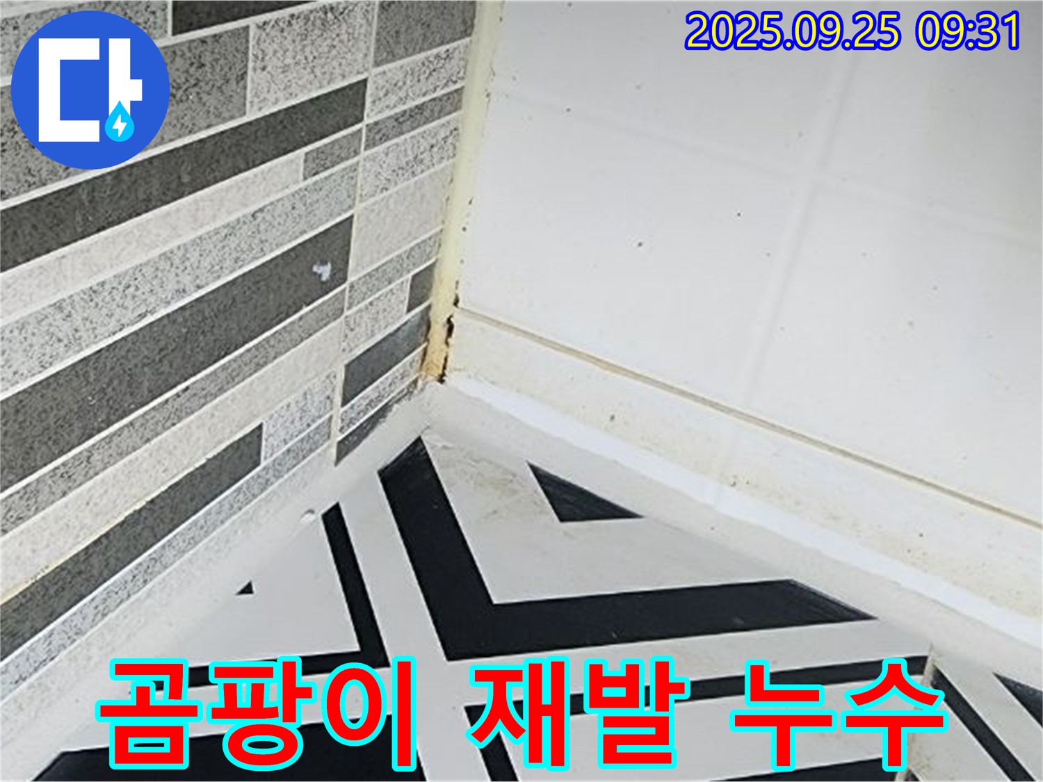양주시 백석읍 오산리 - 곰팡이를 제거해도 계속 생기는 욕실 - 곰팡이 재발의 원인