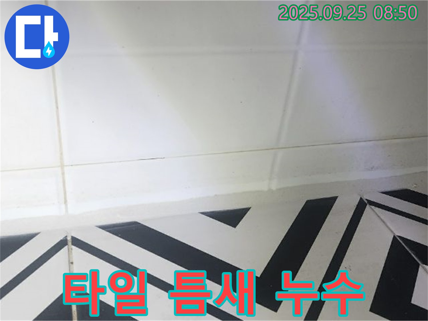 양주시 백석읍 오산리 화장실 타일 틈새 누수 - 꼼꼼한 시공으로 누수 걱정 없이!
