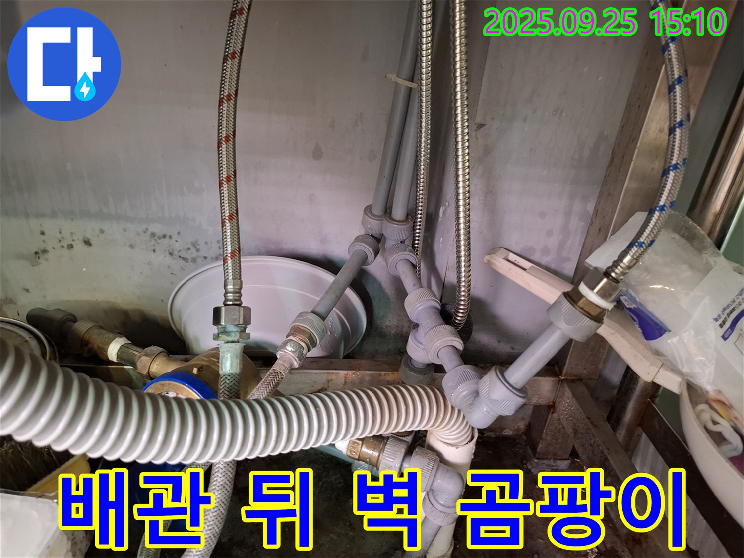 배관 뒤쪽 벽면에 생긴 검은 곰팡이-지속적인 누수로 인한 습기 축적의 증거