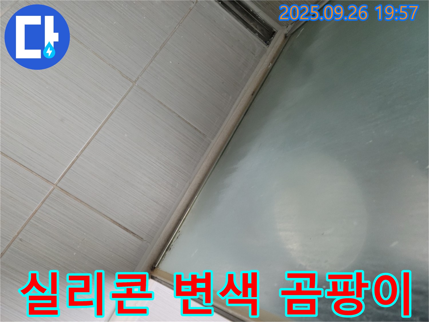 경기 동두천시 강변로 샤워부스 누수 - 실리콘 변색 및 곰팡이로 인한 누수 해결