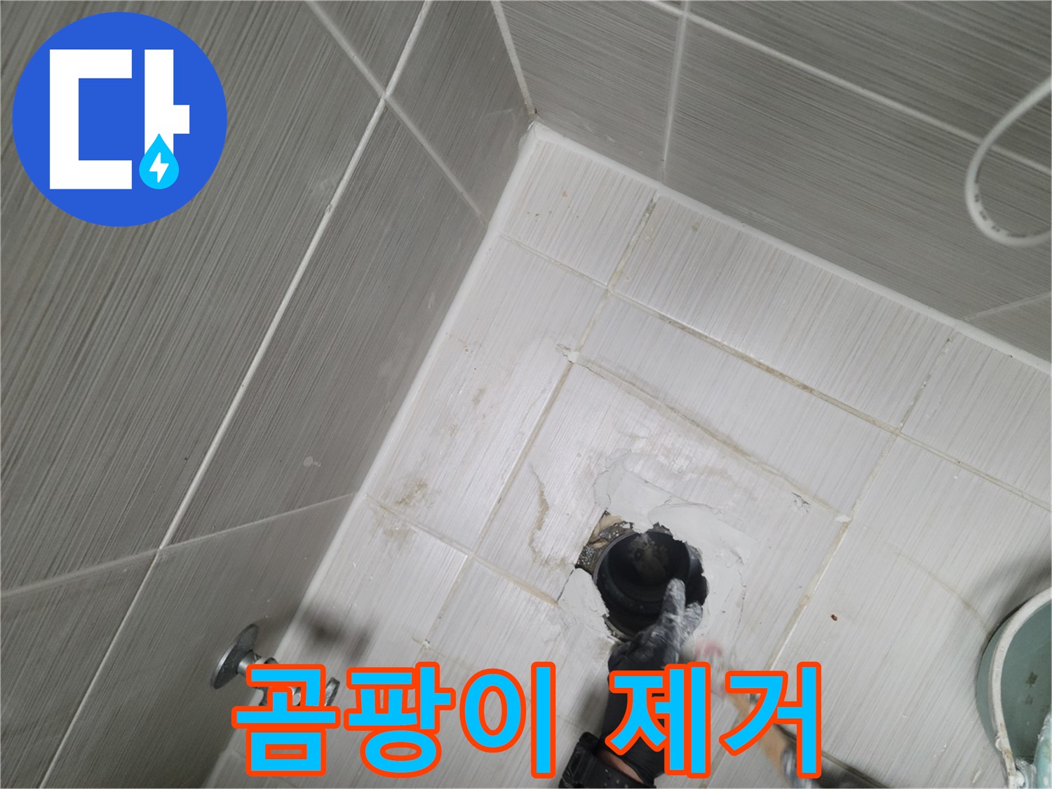 동두천 누수 - 욕실 하수구 주변 곰팡이 제거 및 누수 해결