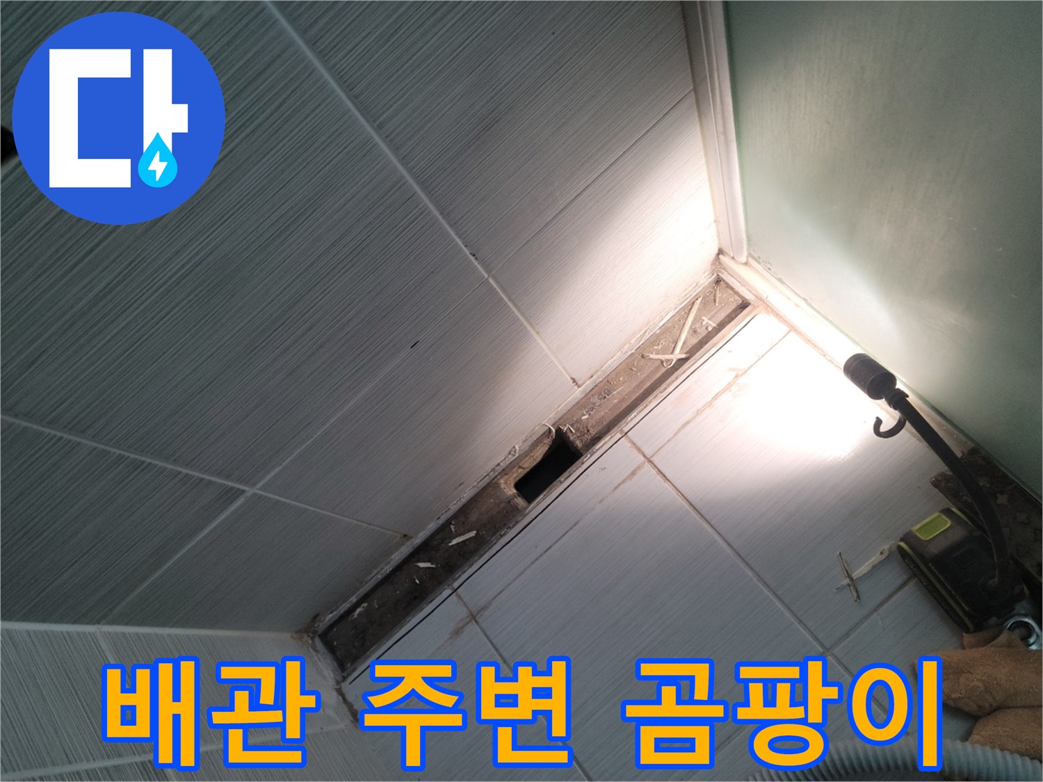 동두천 누수 - 욕조 철거 후 배관 주변 곰팡이 발생 확인