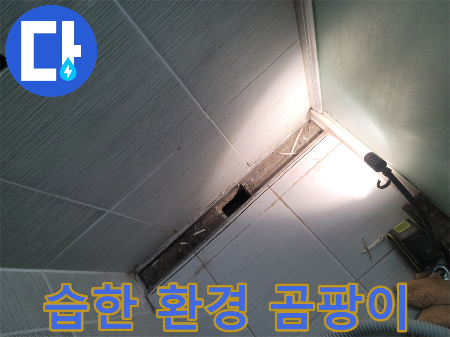 동두천 누수 - 욕조 하부 습한 환경과 곰팡이 서식 상태 확인