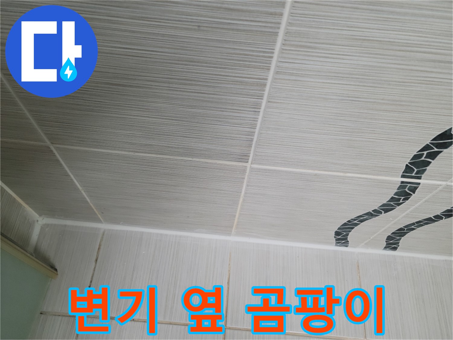 동두천 누수 - 화장실 변기 옆 타일 틈새에 곰팡이가 발생한 모습입니다.