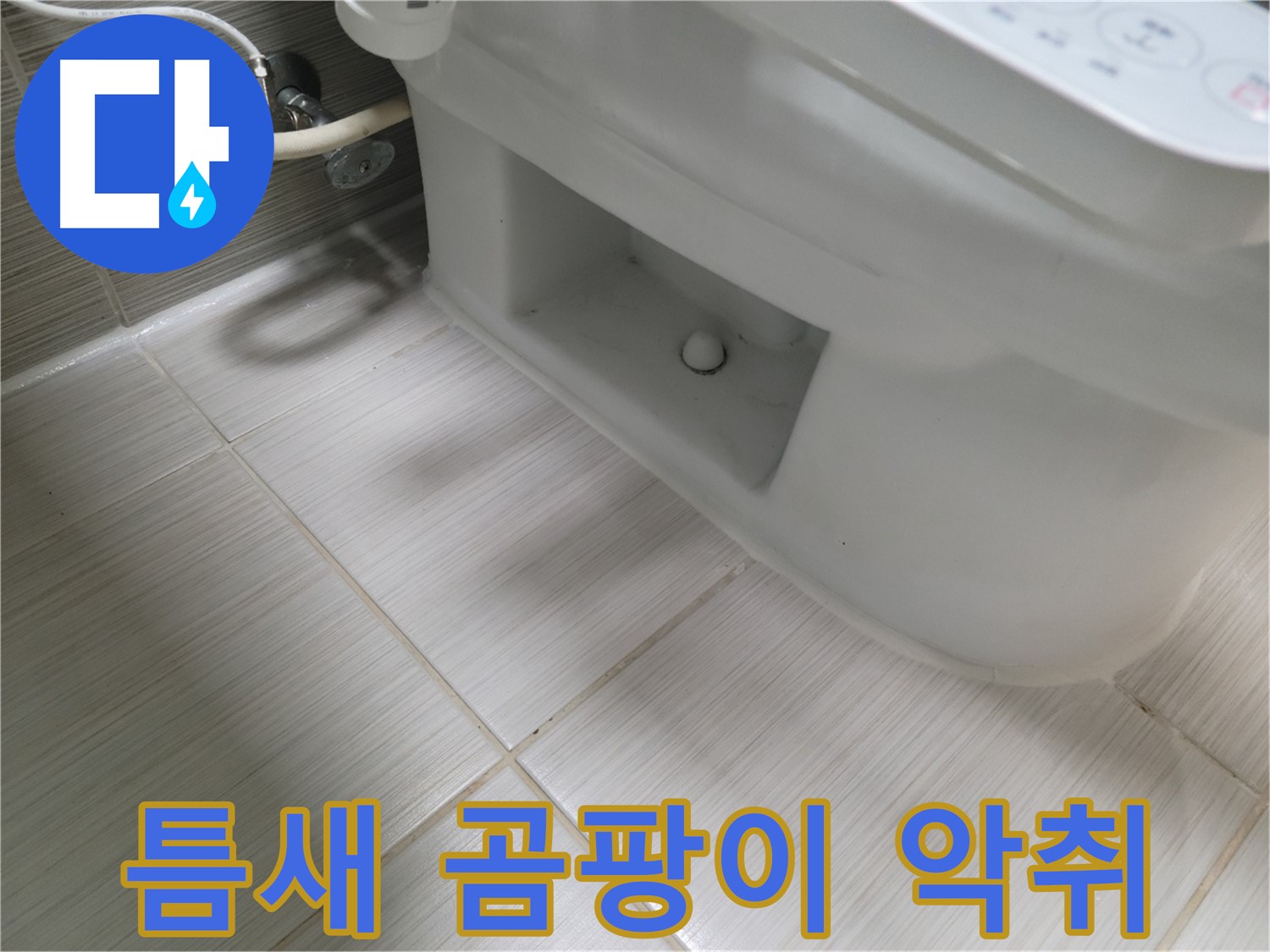 동두천 변기 누수 - 틈새 곰팡이 악취 - 건강 주의