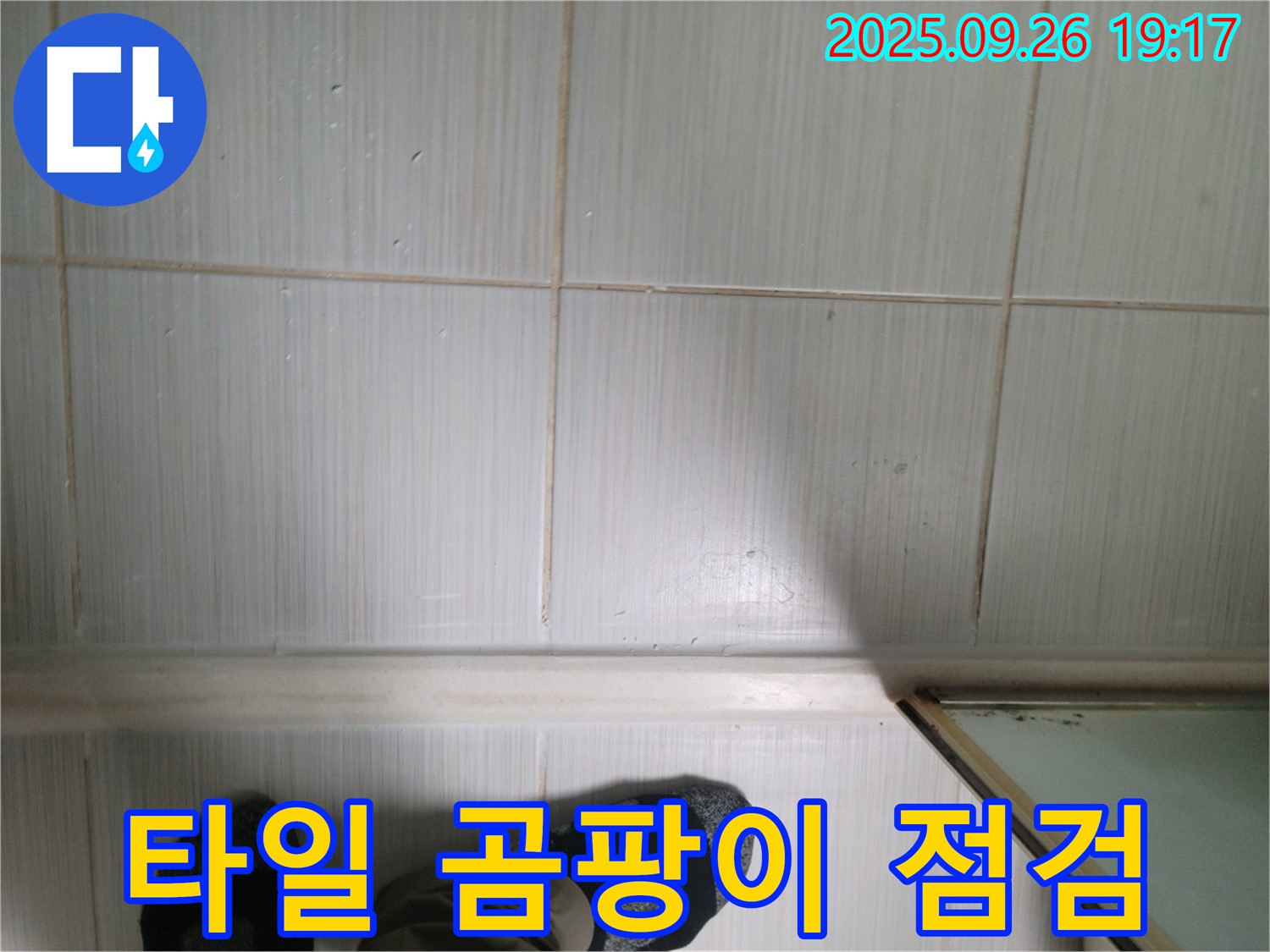 동두천 생연동 누수 - 최첨단 장비를 사용하여 타일 틈새 곰팡이 상태를 점검하고 있습니다.