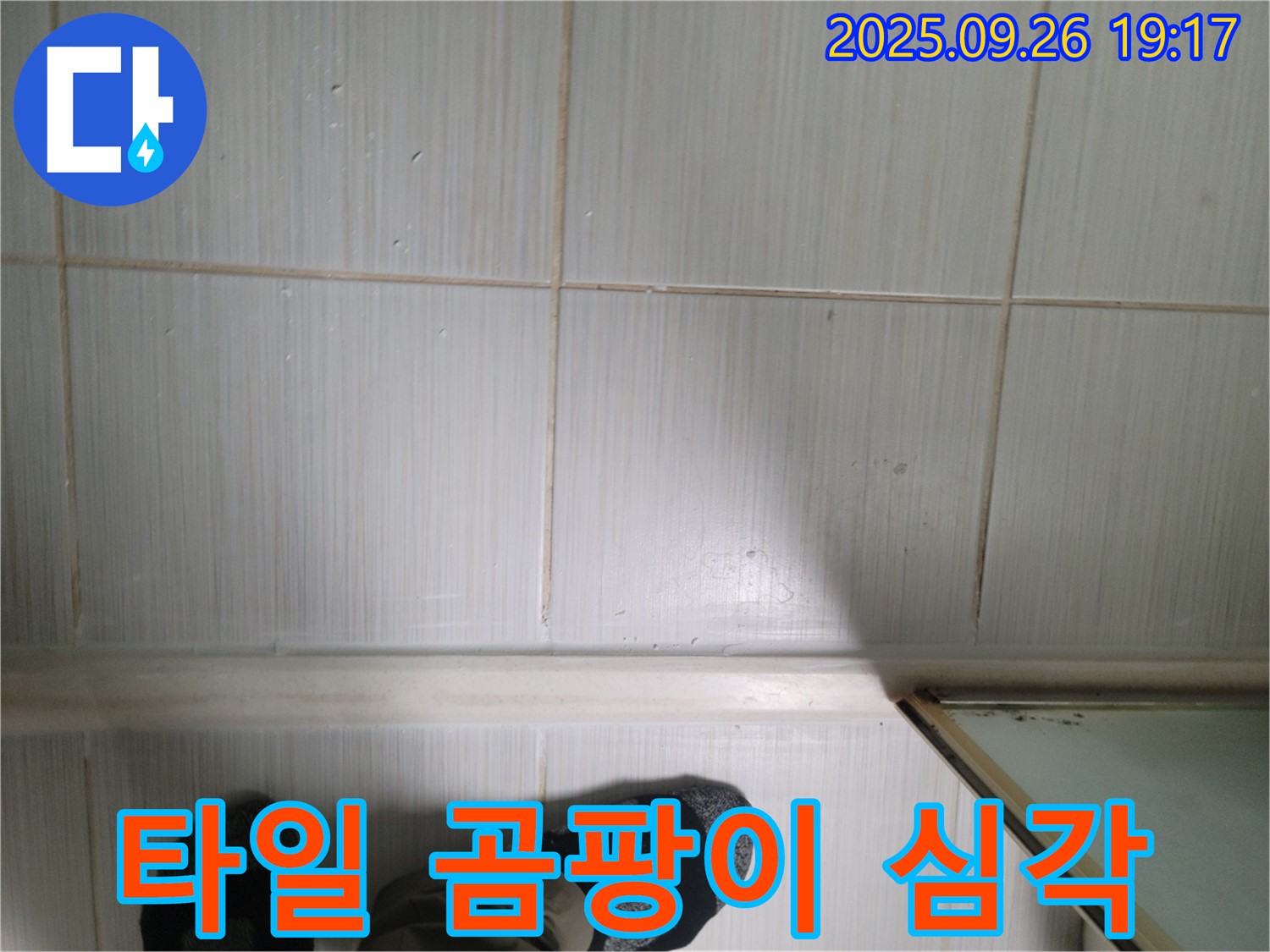 동두천 생연동 누수 - 타일 심각한 곰팡이 상태를 확인하고 합리적인 가격을 제시하고 있습니다.