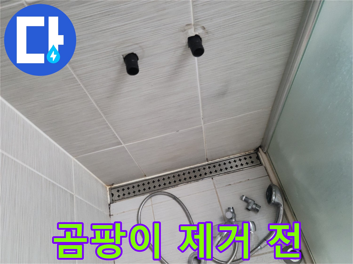 동두천 신창동 - 샤워기 철거 후 천장 타일 틈새의 곰팡이 - 곰팡이 제거 작업 시작 전!