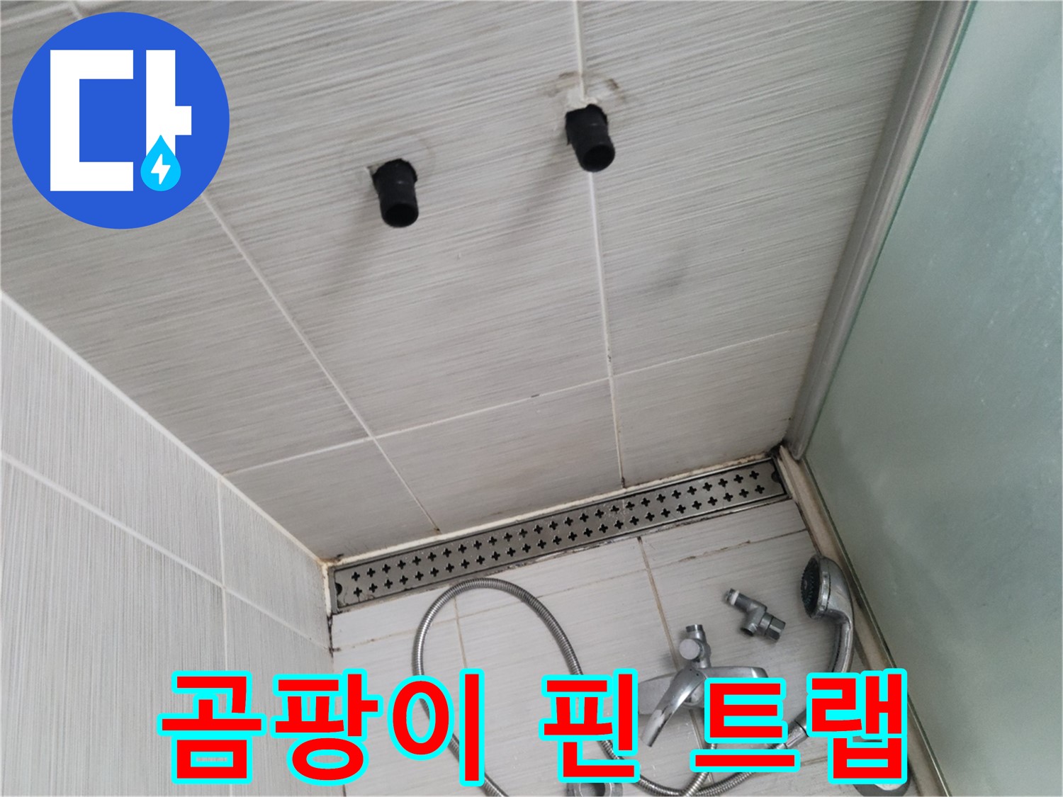 동두천 신창비바 - 샤워기 주변 곰팡이 핀 배수구 트랩 - 습기 가득한 곳엔 어김없이 곰팡이